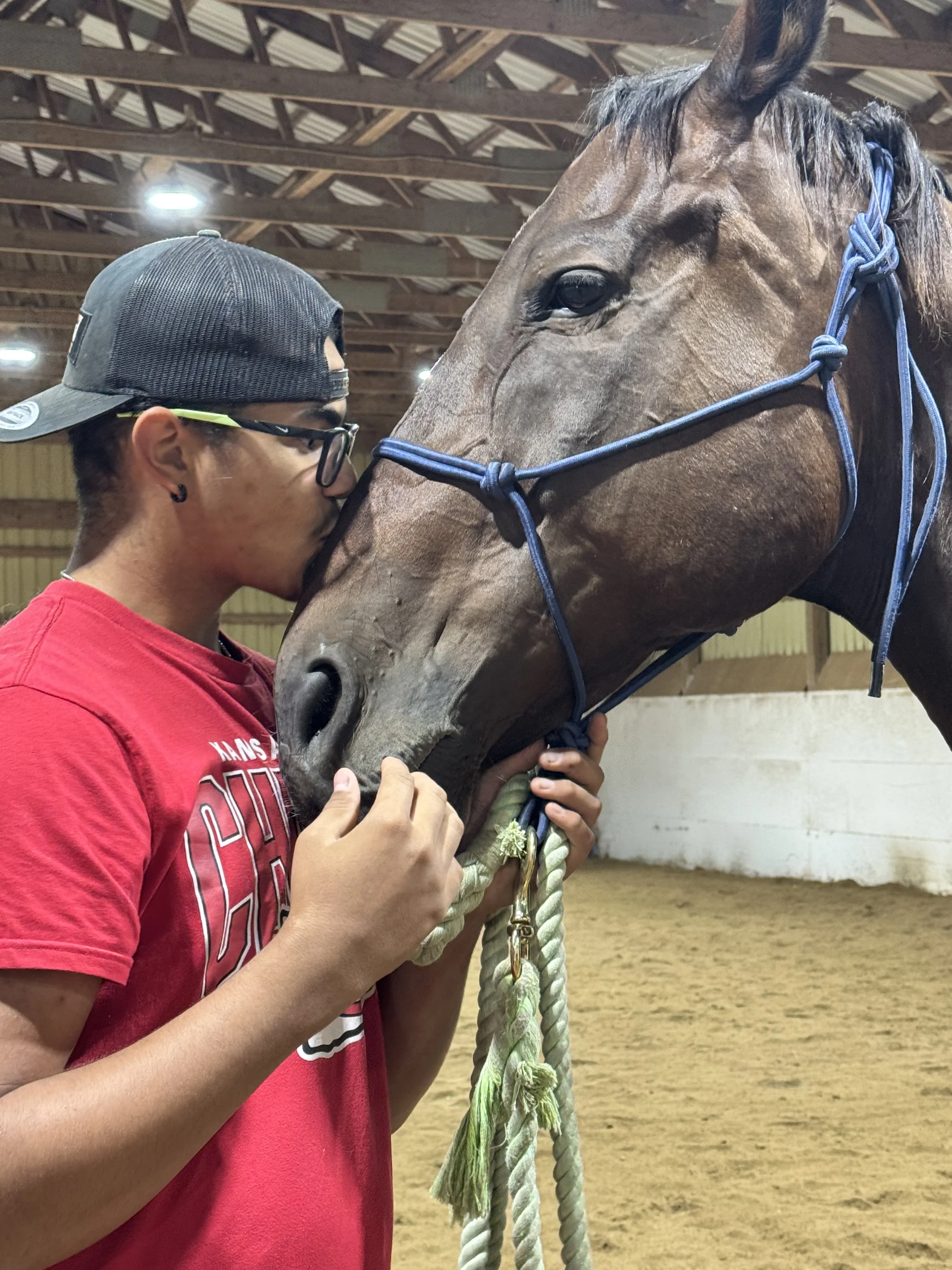 More Than Just a Petting Zoo: The Neuroscience of Equine Therapy