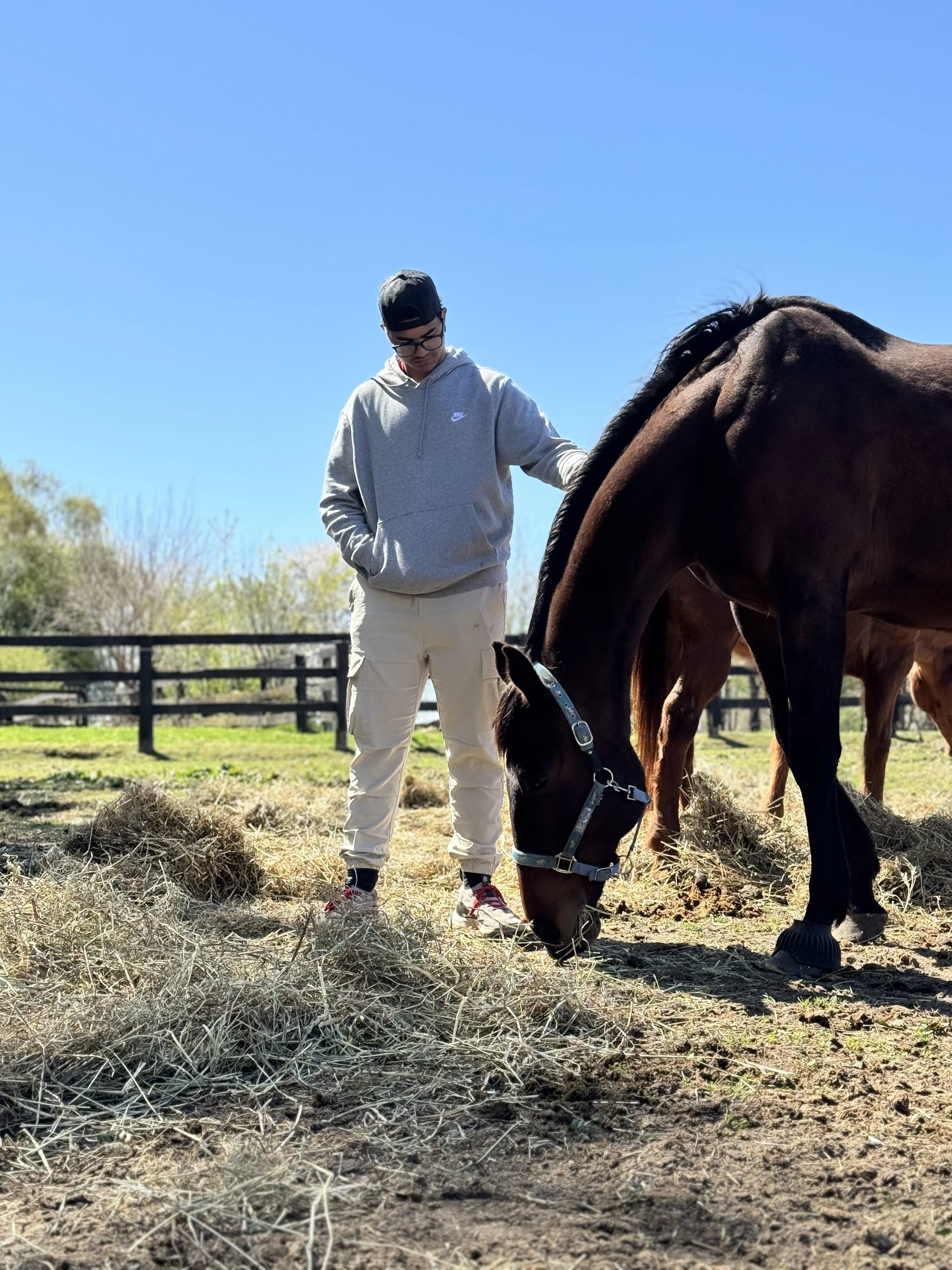 The Horse as a Mirror: Why Your "Short Fuse" Isn't a Character Flaw