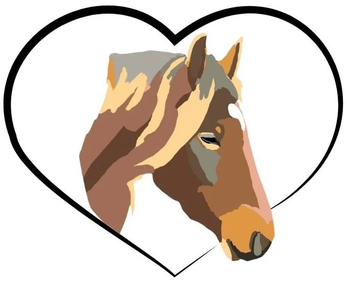 Heart Horse Counselling