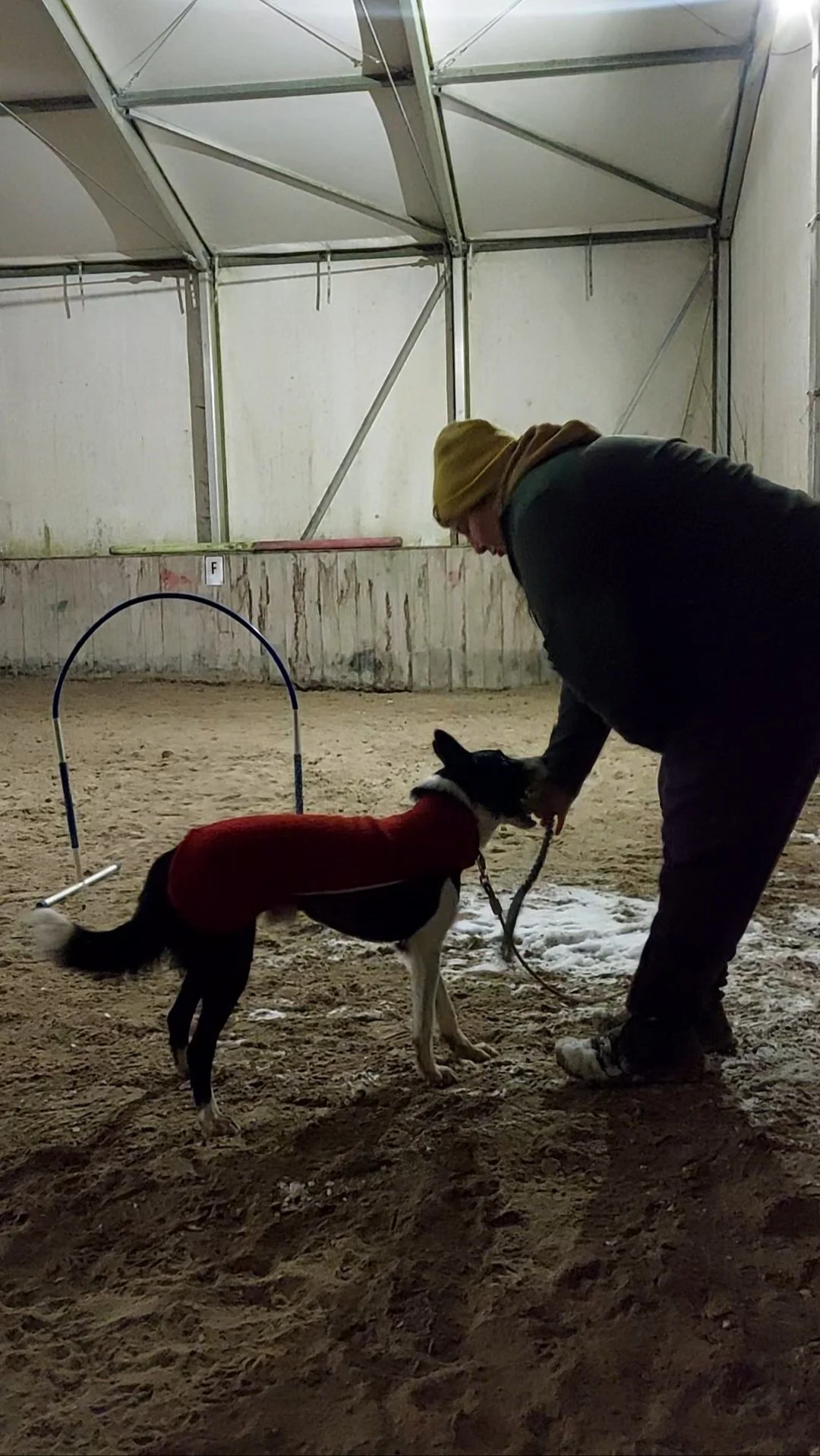 Last training before the first competition