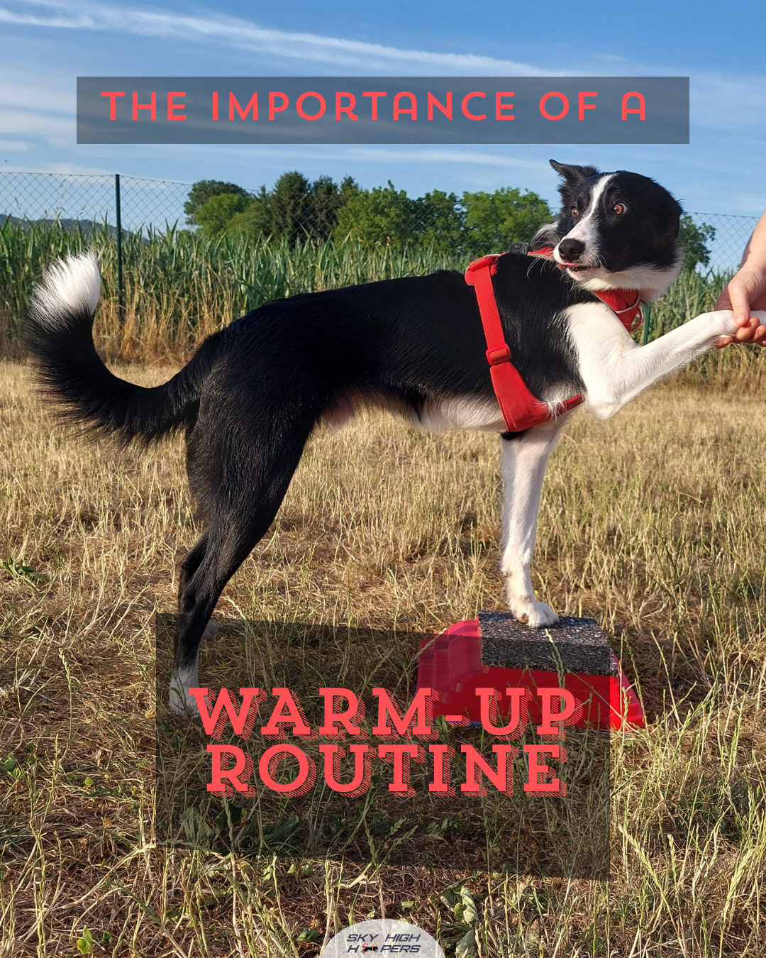 The importance of a warm-up routine