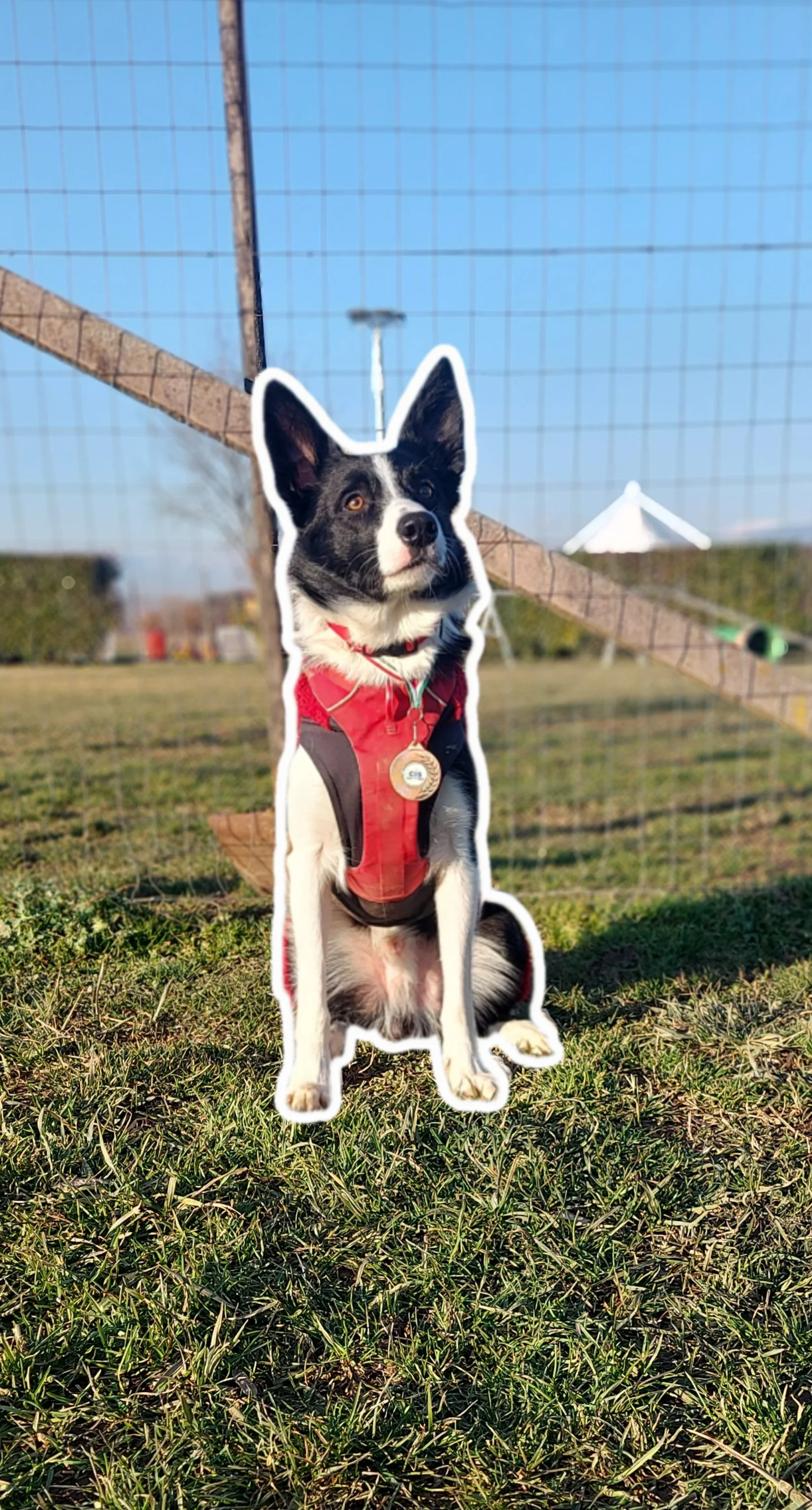 Mistakes in competitions