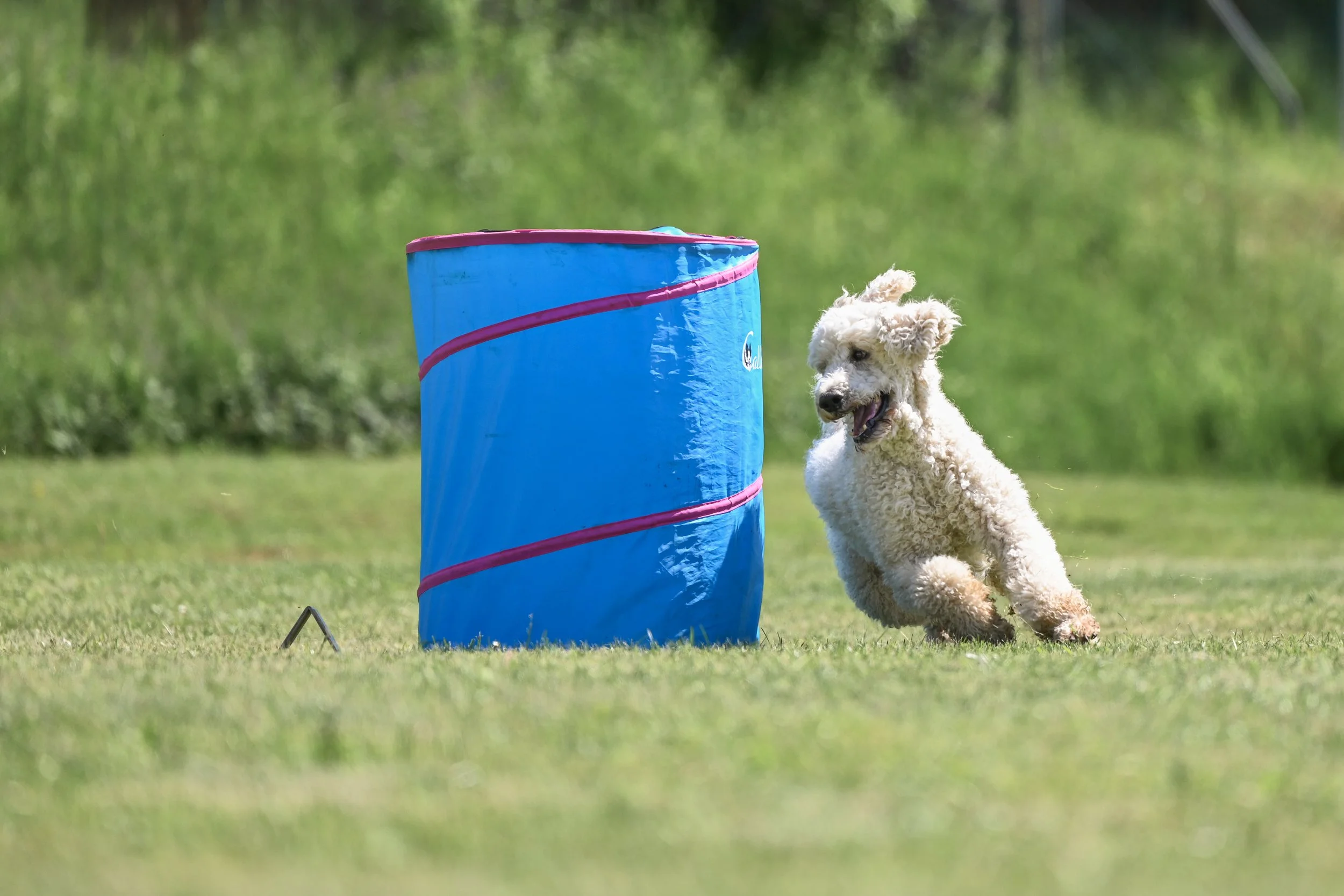 Around the cone we go