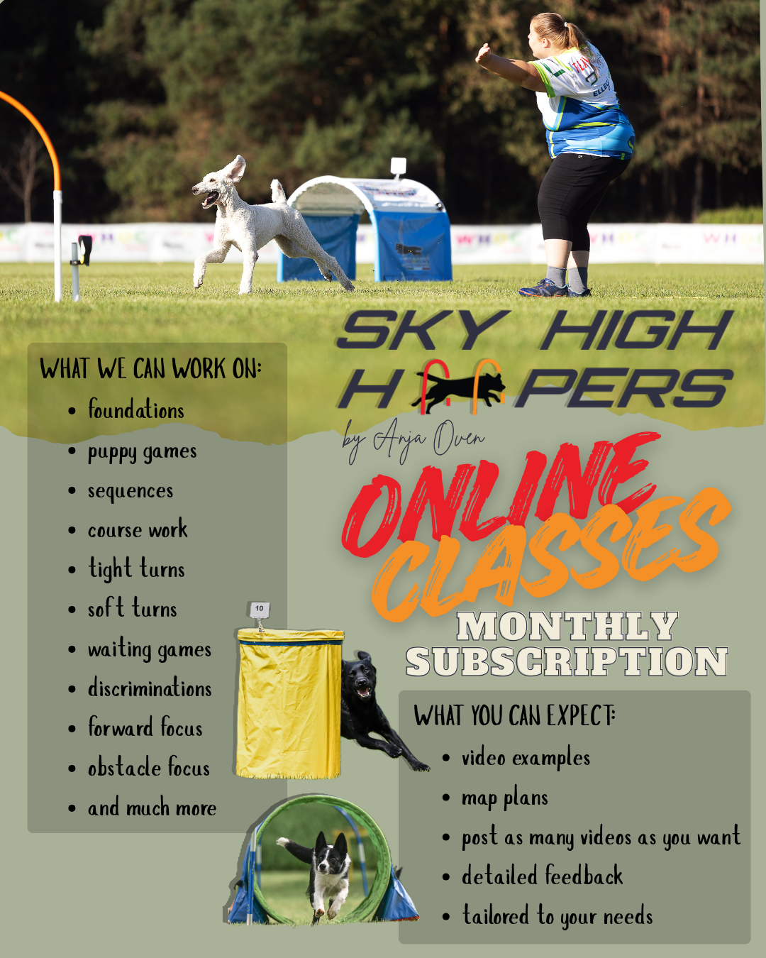A woman training a dog on a field with agility equipment, including jumps and tunnels, during daytime.