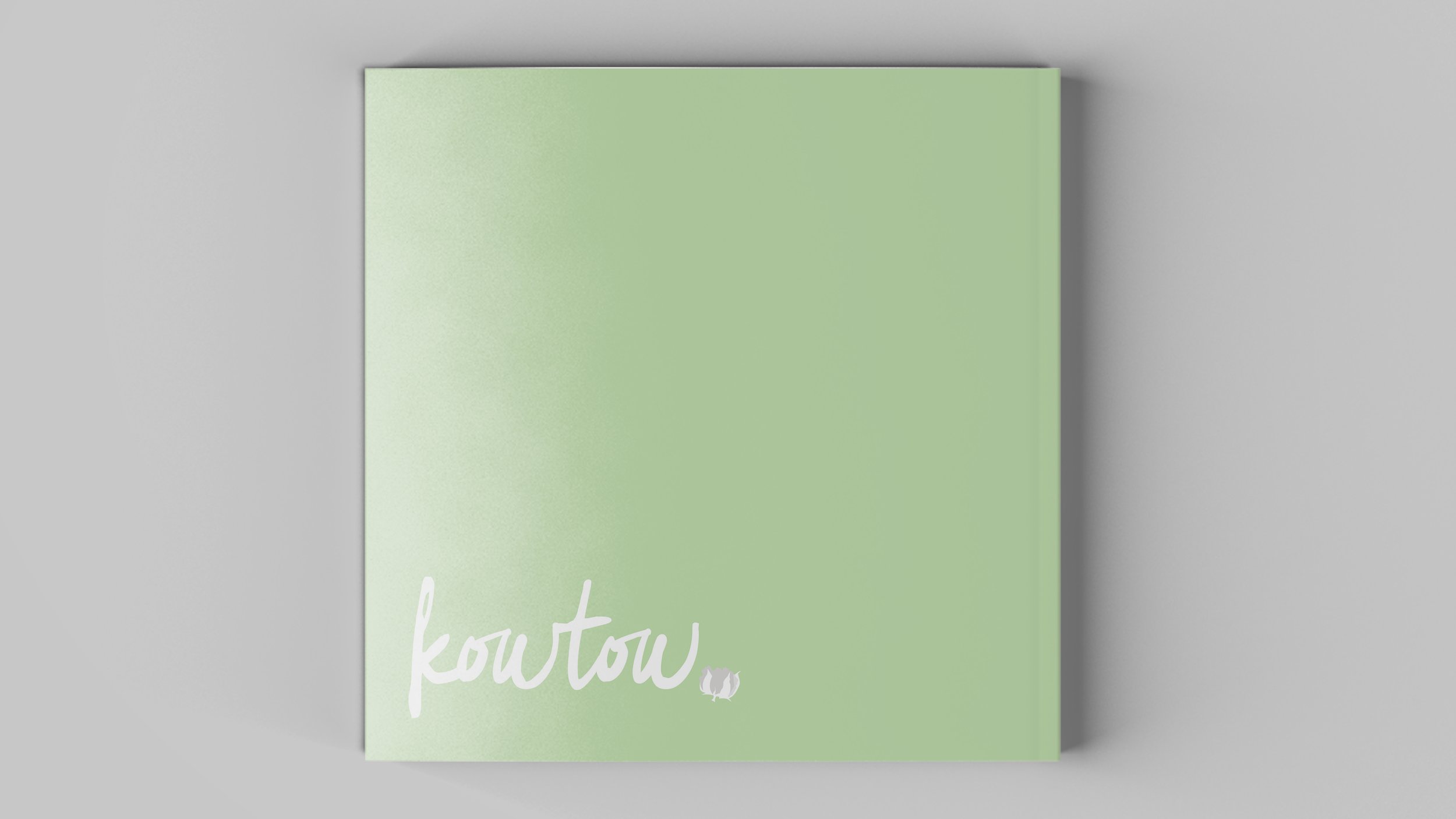 back cover.jpg