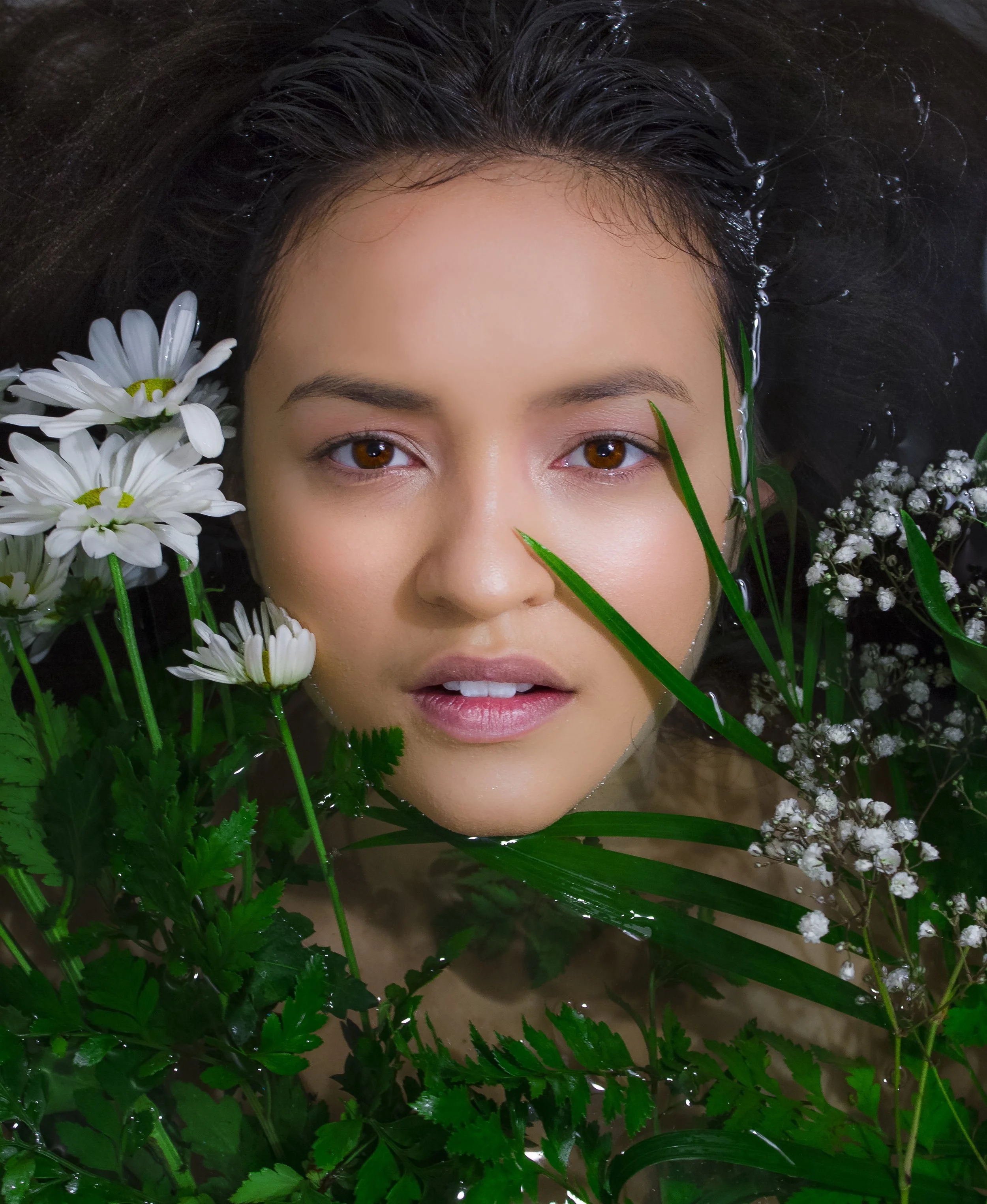 Heather flowers.jpg