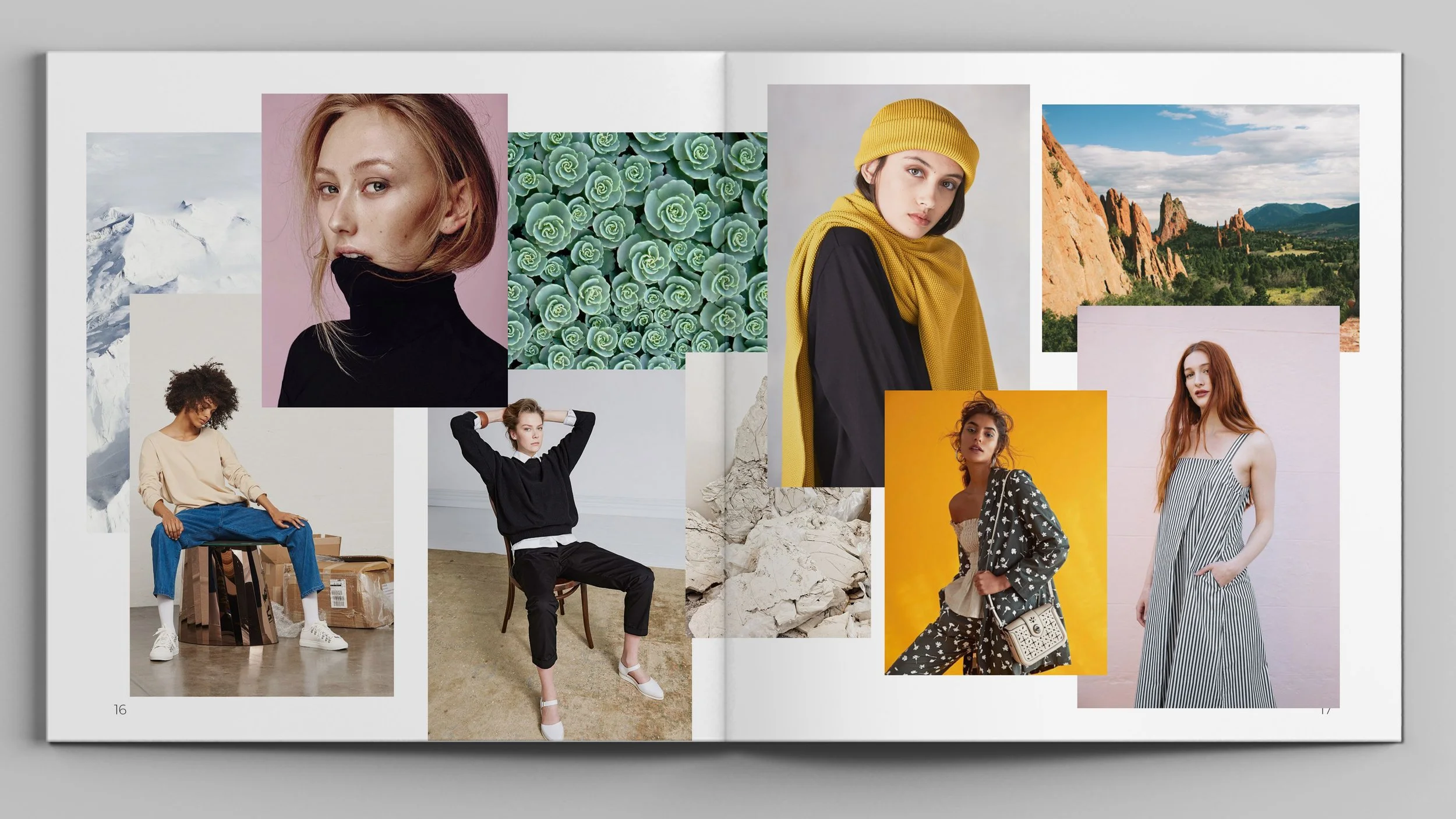 photo spread.jpg