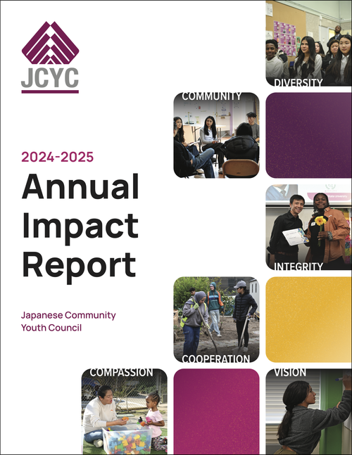 Impact Report Cover
