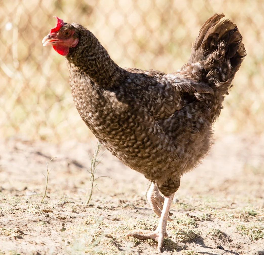 iStock-842427984.jpg