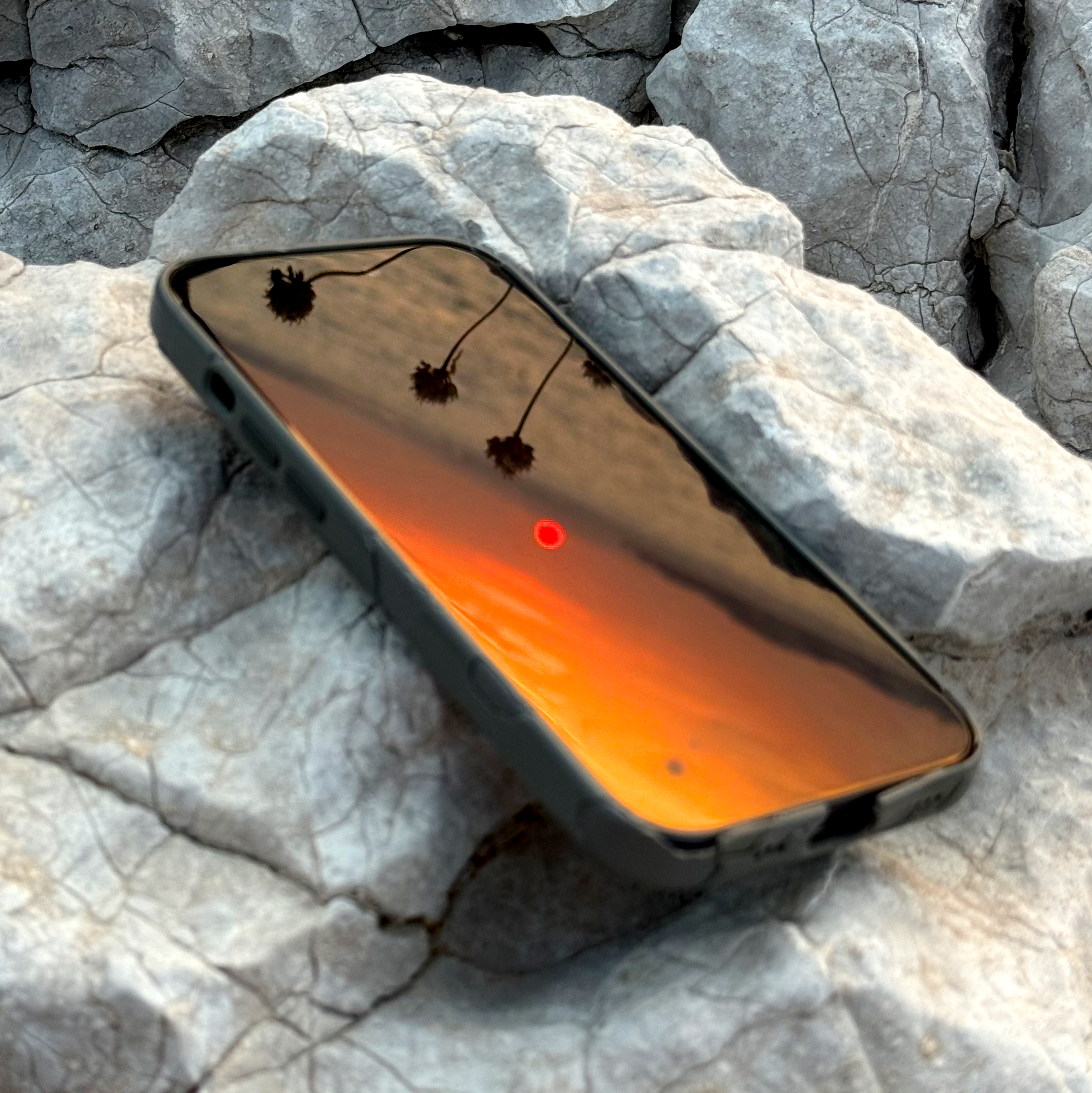 IMG_3507 GLISTEN.png