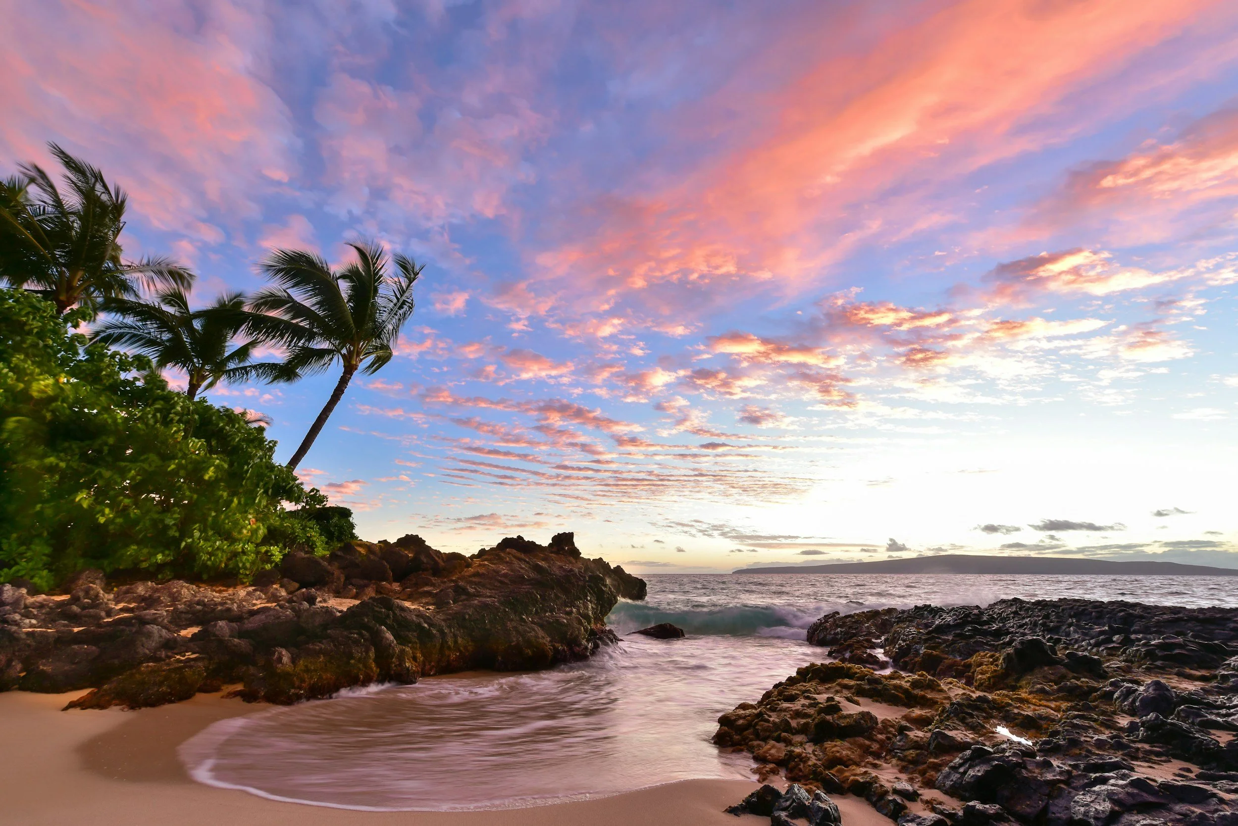 Sunset over a rocky beach with palm trees and pink clouds in the sky.