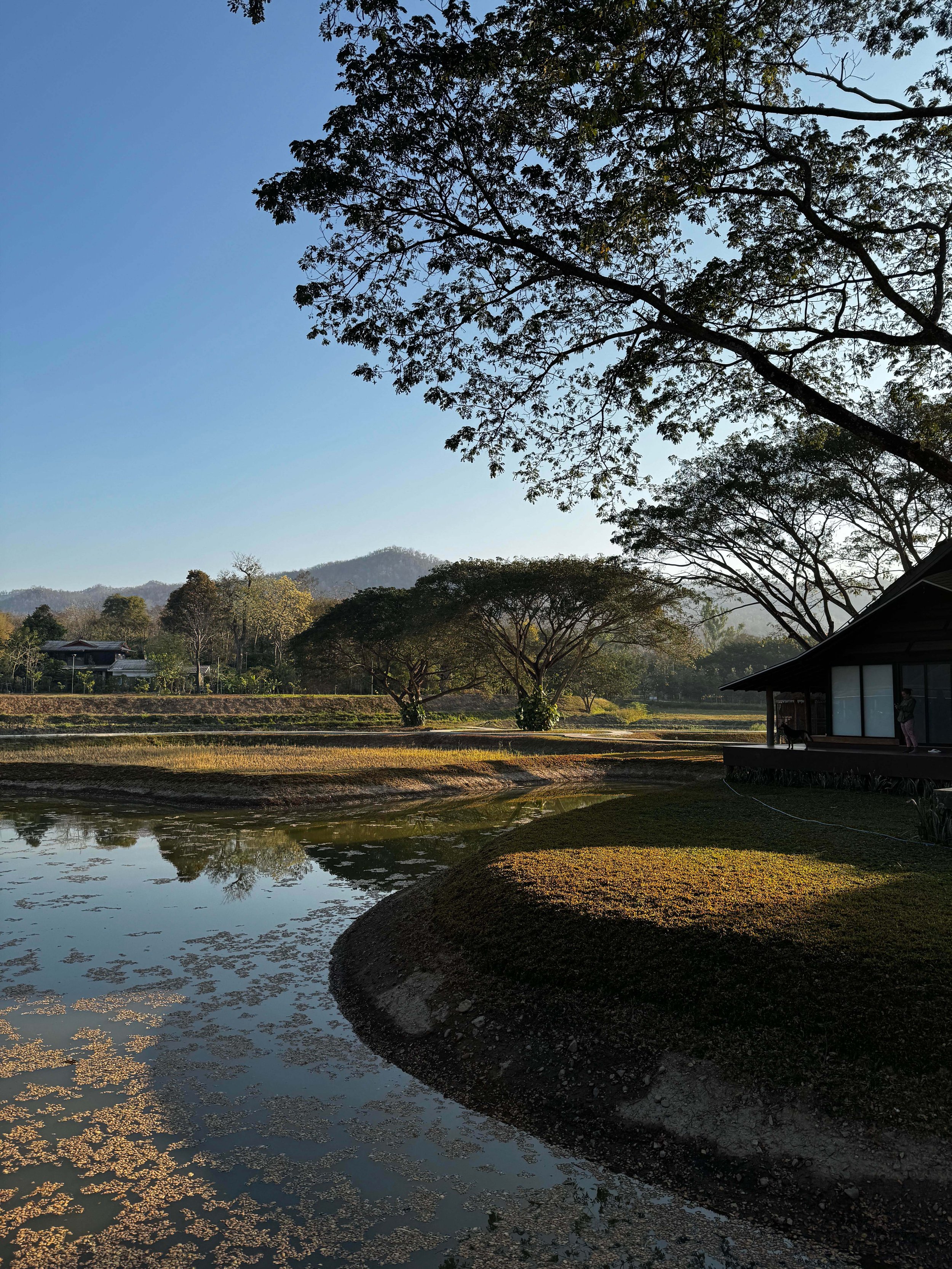 Pai International Meditation centre blog by Healing Soul Whispers