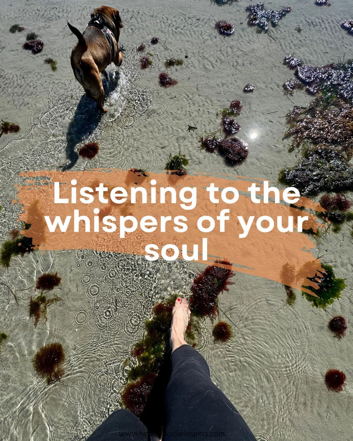 💫 As the new year begins, it can be tempting to rush into resolutions. But if there&rsquo;s anything I&rsquo;ve learnt these past few years, it&rsquo;s that there&rsquo;s a quiet pause when you slow down and quiet the mind. There becomes space to li