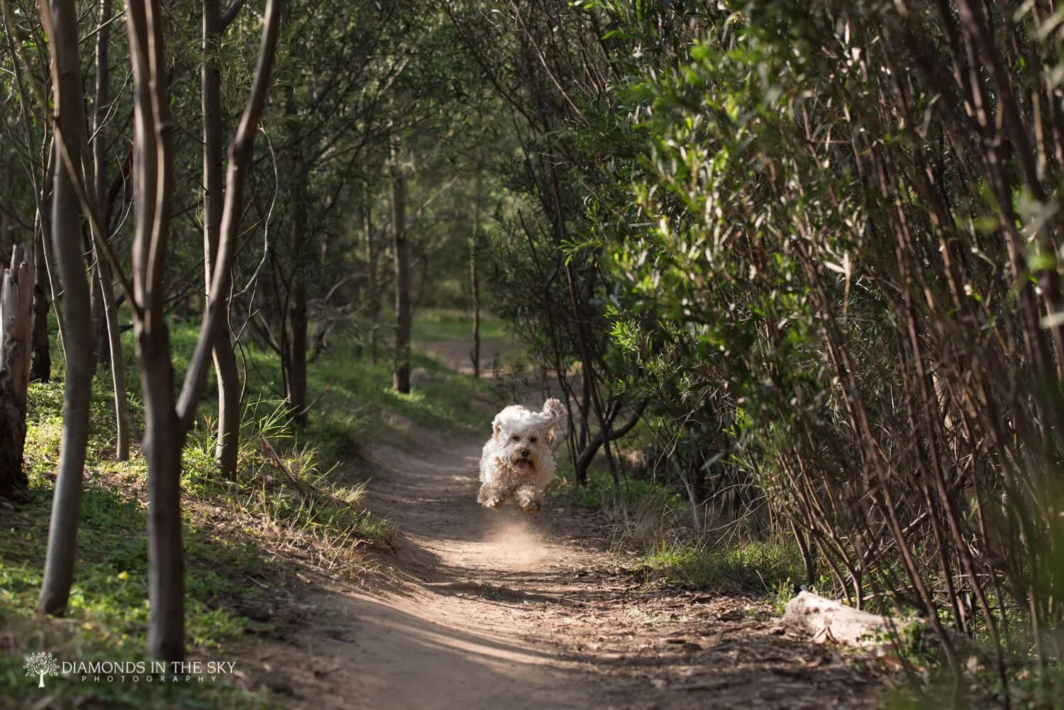 Reiki master Melbourne photos4.jpg