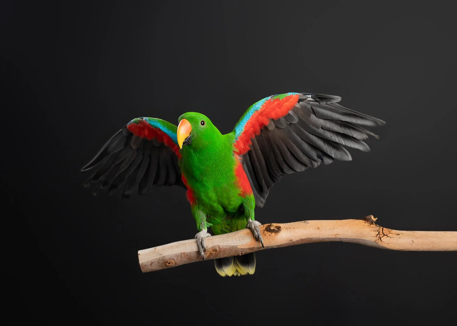 Reiki master Melbourne photos11.jpg