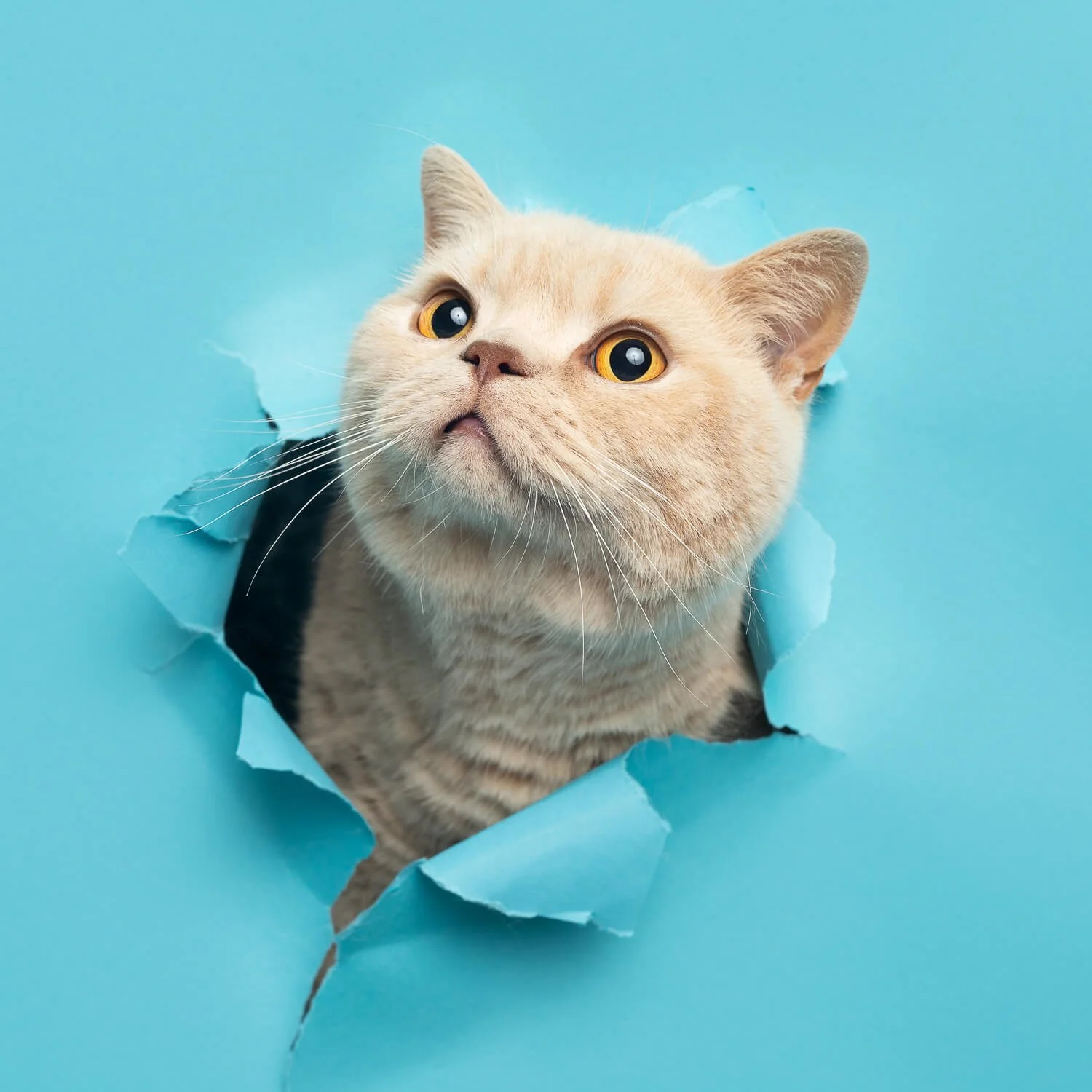 Reiki master Melbourne photos12.jpg