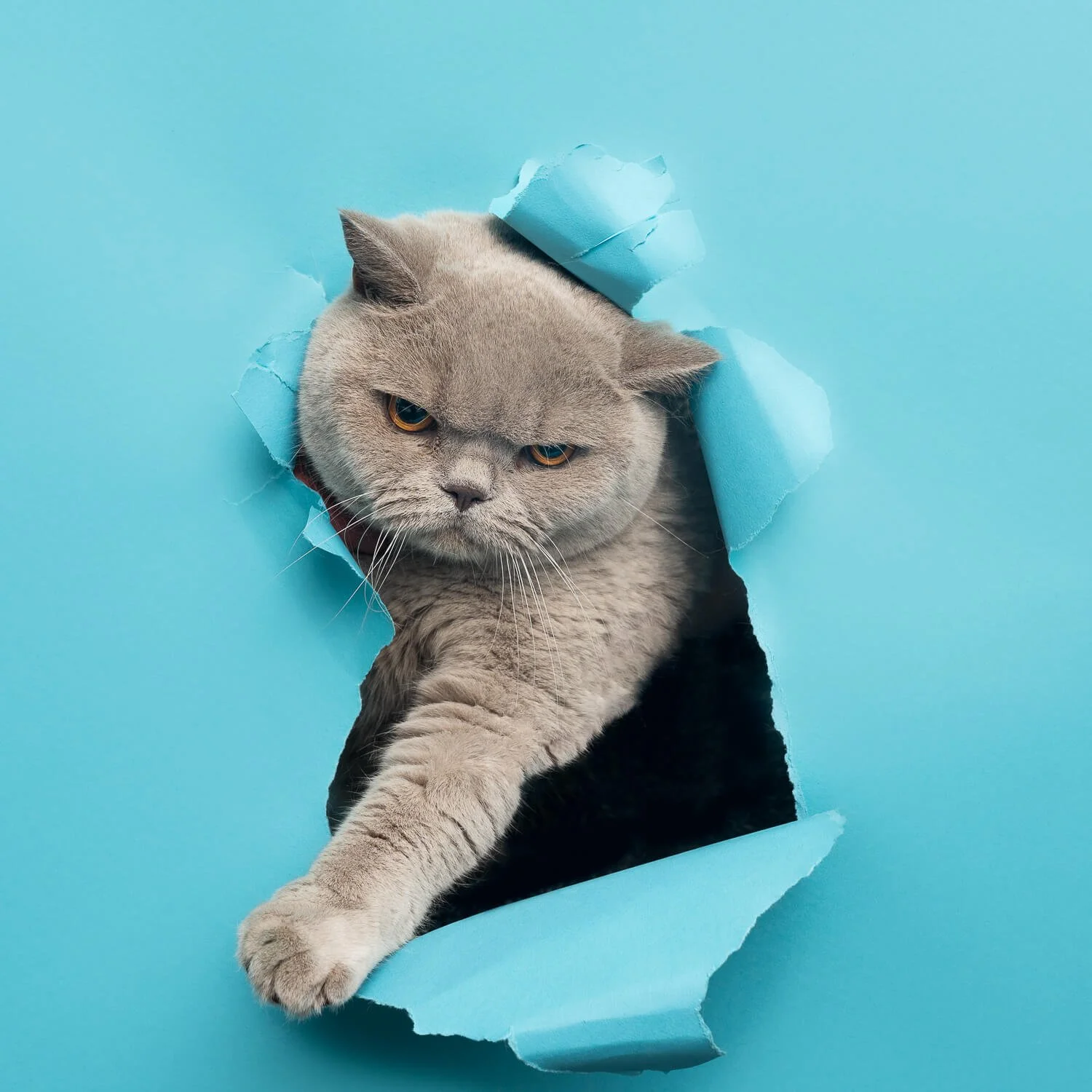 Reiki master Melbourne photos13.jpg