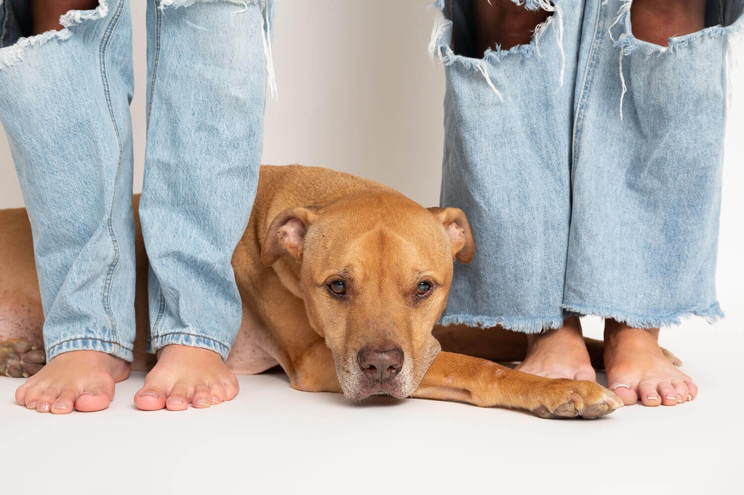 Reiki master Melbourne photos14.jpg