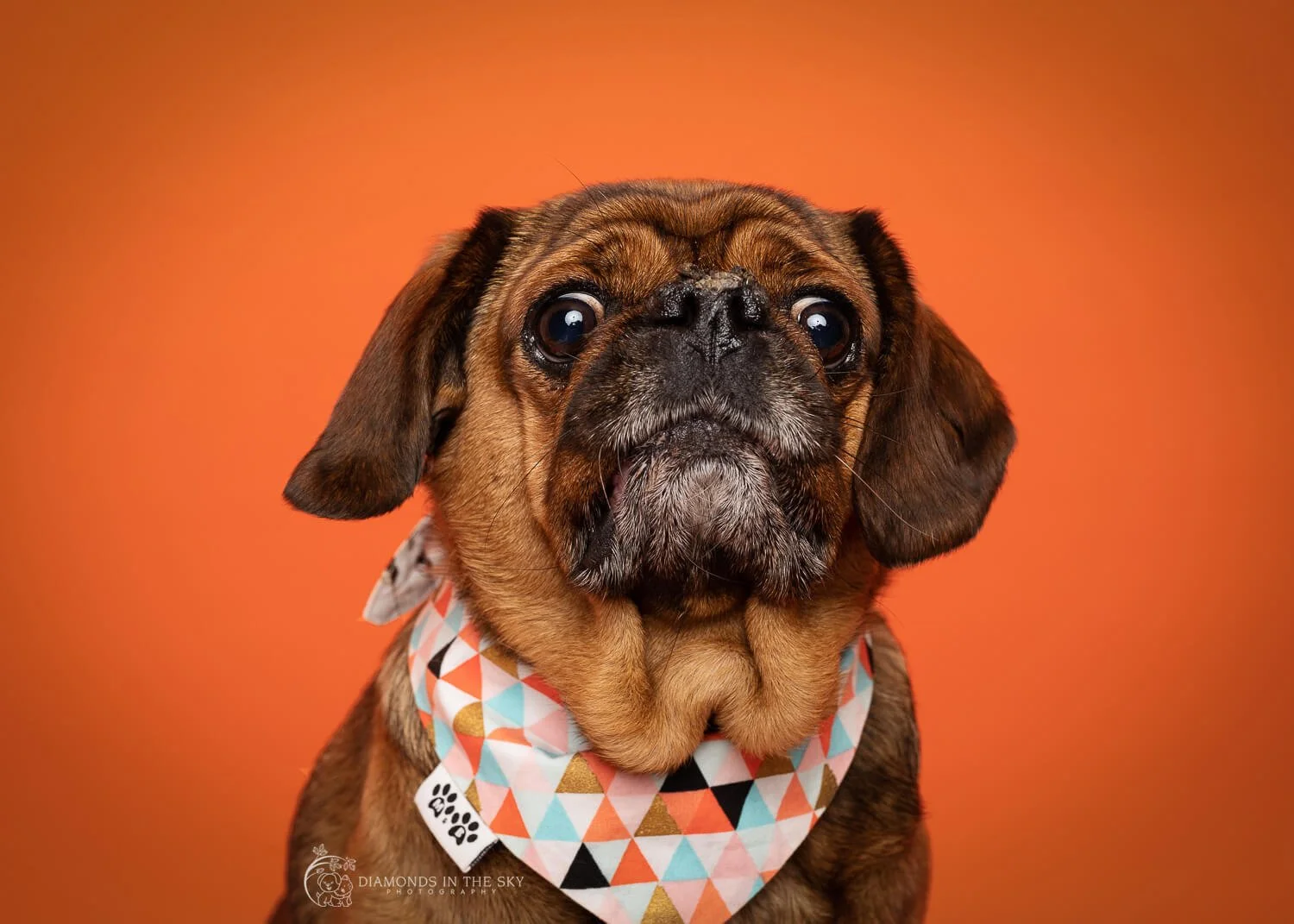 Reiki master Melbourne photos44.jpg