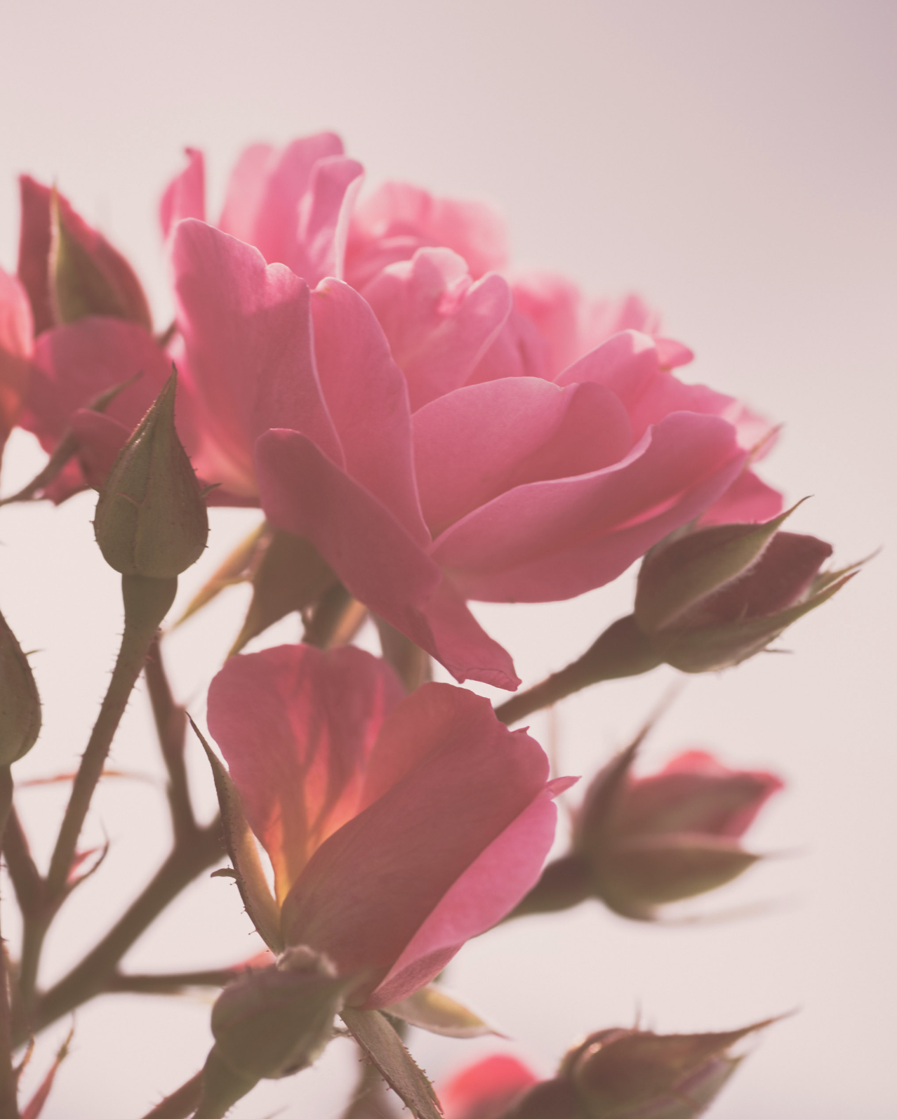 Practical tips to work through feelings of anxiety &amp; overwhelm.