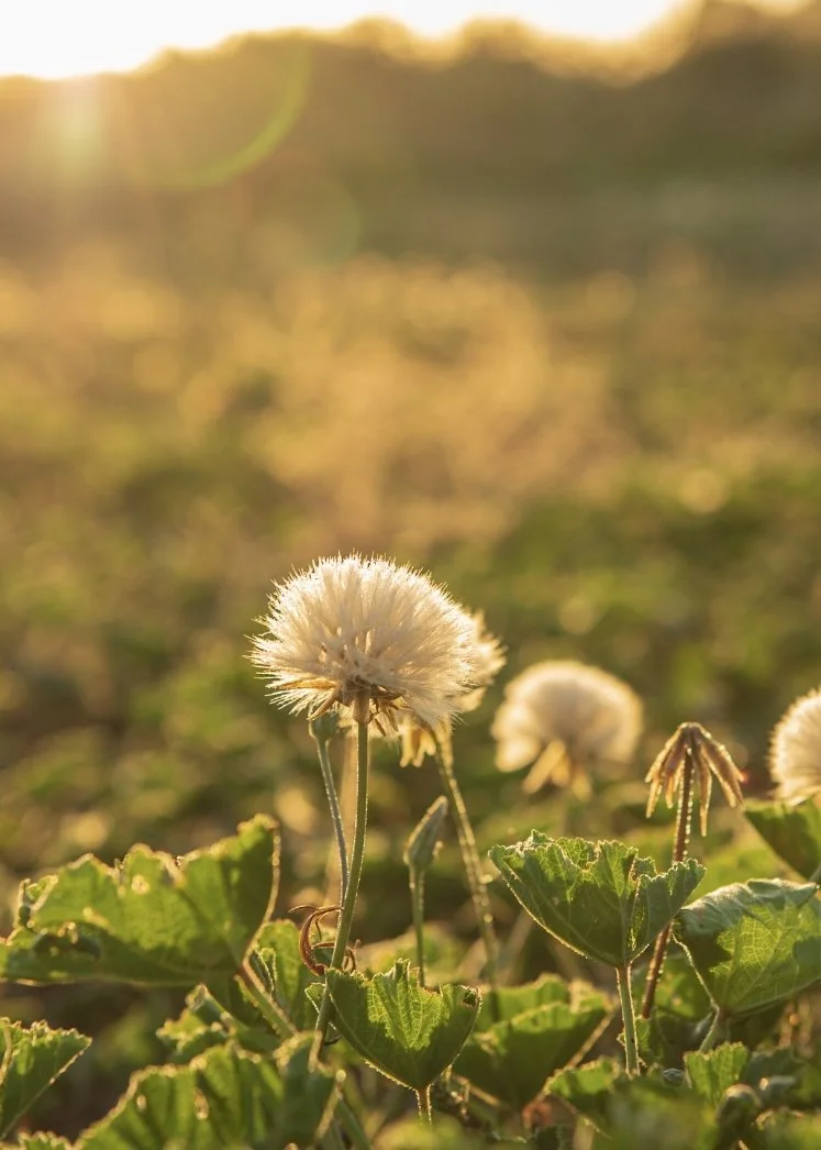 How to get out of your head and calm your thoughts