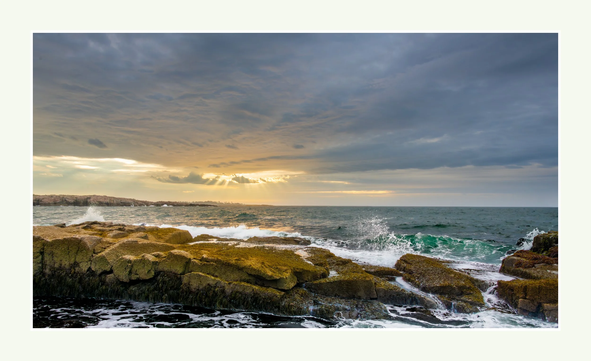 Along the Shore in Maine WB.jpg