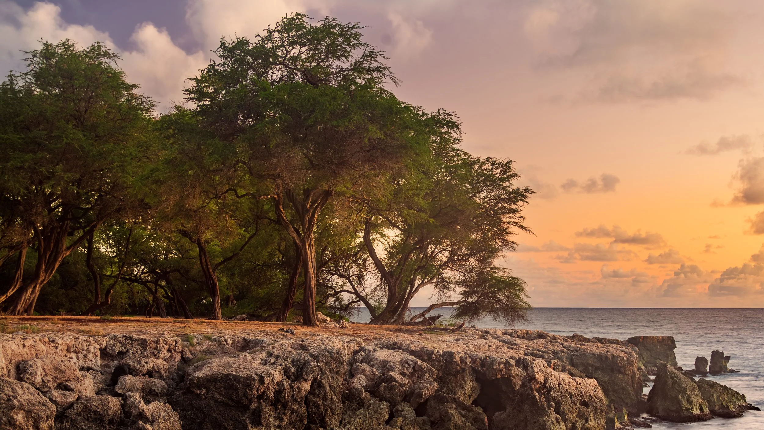 Hawaii