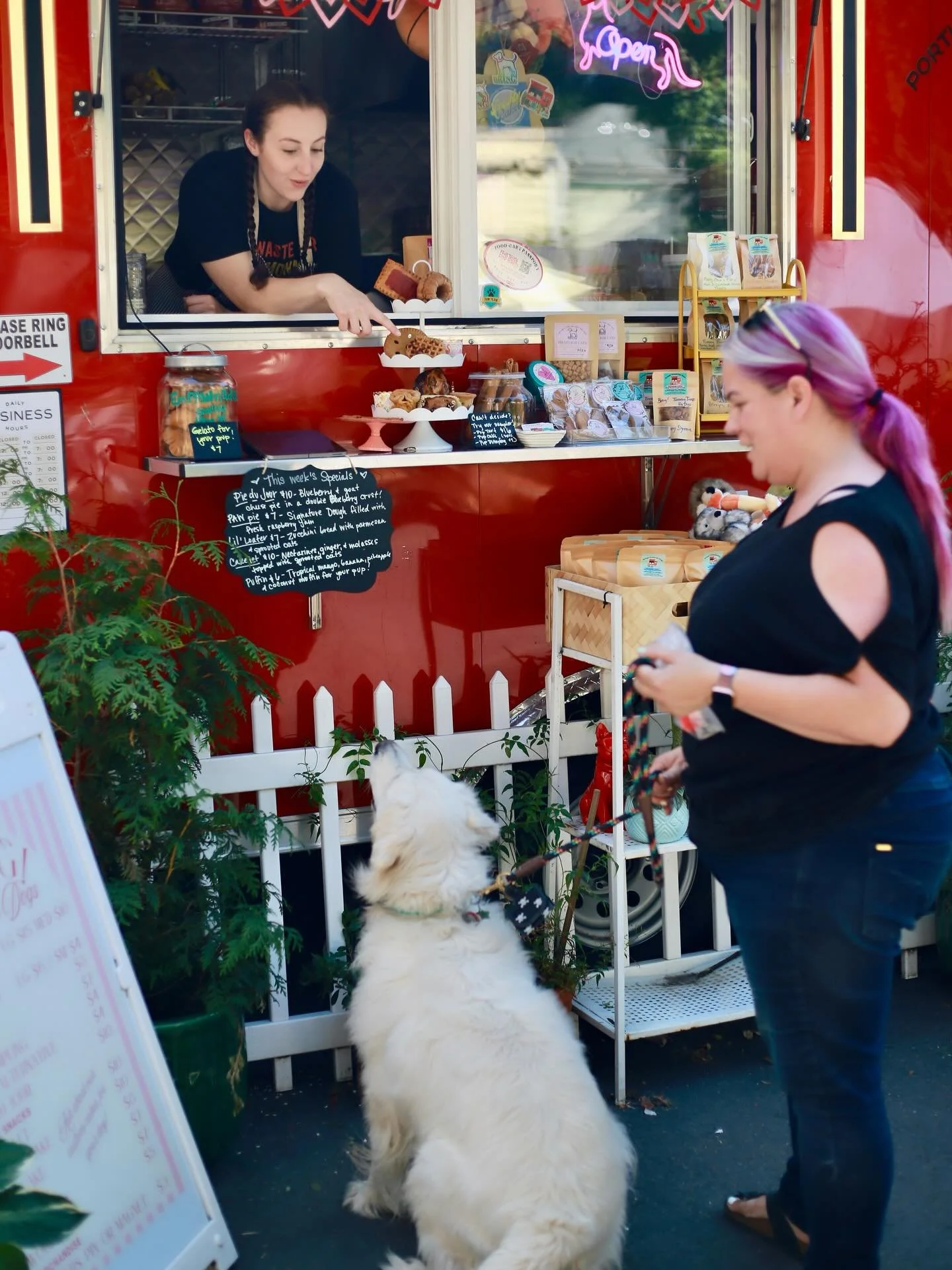 Enjoy these sunny days while they last ☀️😎! @bring_treats_for_dogs always gives your dog the rockstar treatment while you and your friends enjoy options from @shera_indianfood_pdx @faithcateringllc @taqueriabravostaco @sunrisecopdx and @allgoodbrewi
