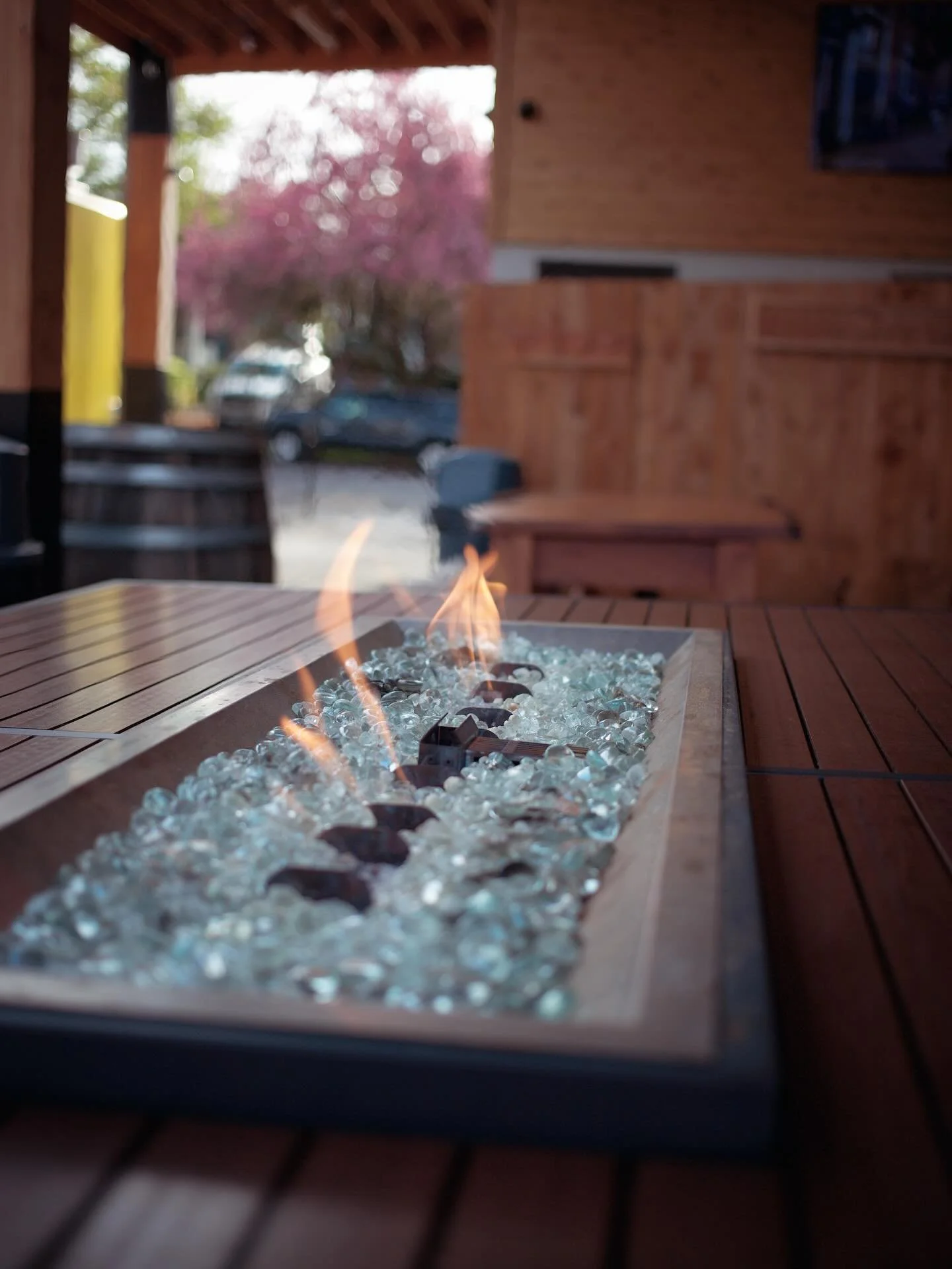 We&rsquo;re keeping it lit 🔥 as cozy season is upon us! Join us for a midday hang out. @allgoodbrewingco is open and enjoy lunch from @sunrisecopdx, @shera_indianfood_pdx and @taqueriabravostaco. Treat your puppers to all natural, organic treats fro