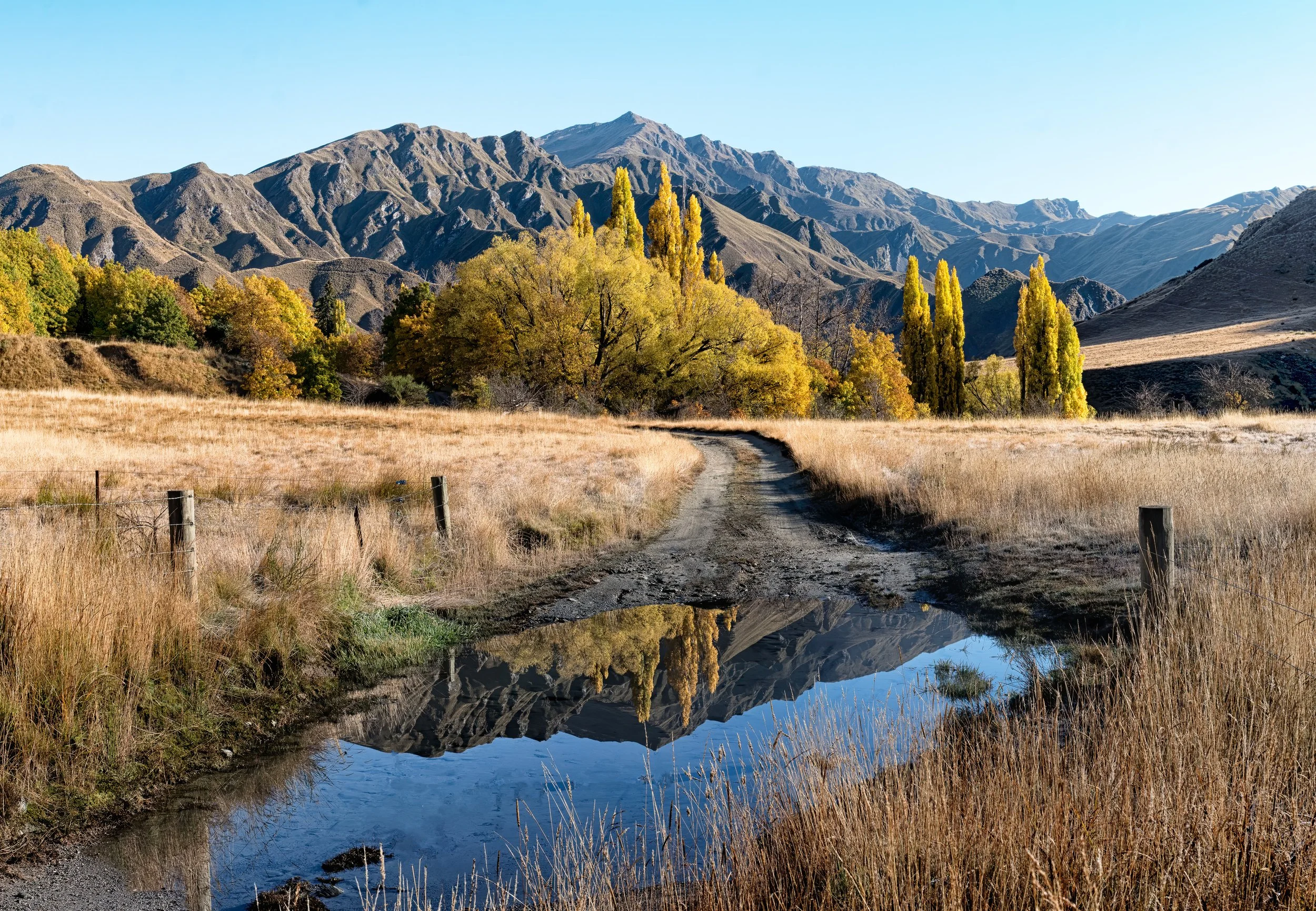 Step into the Hues of Autumn at Porter Gallery