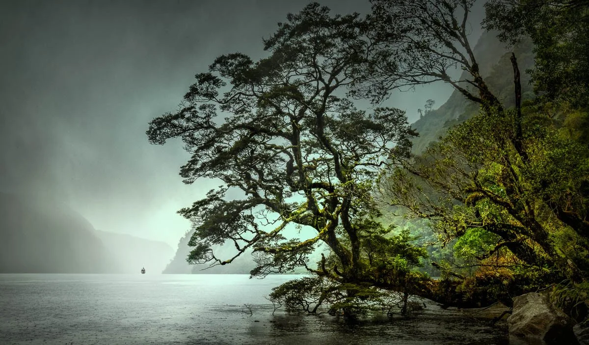 Light Rain, Dusky Sound