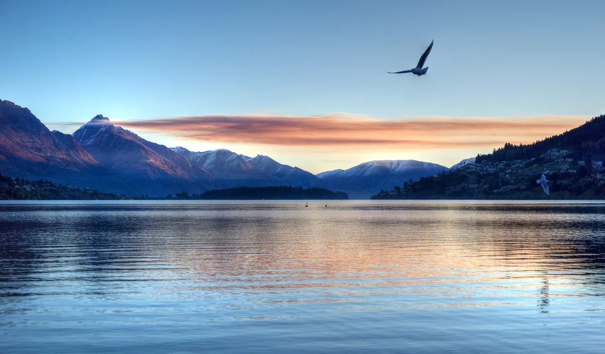 Whakatipu and Bird