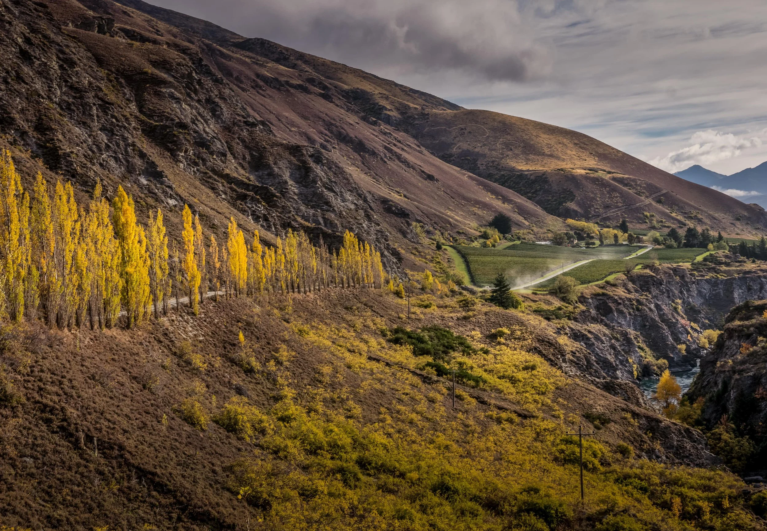 central, otago, gibbston, valley, farm, road, landscape, mountain, autumn