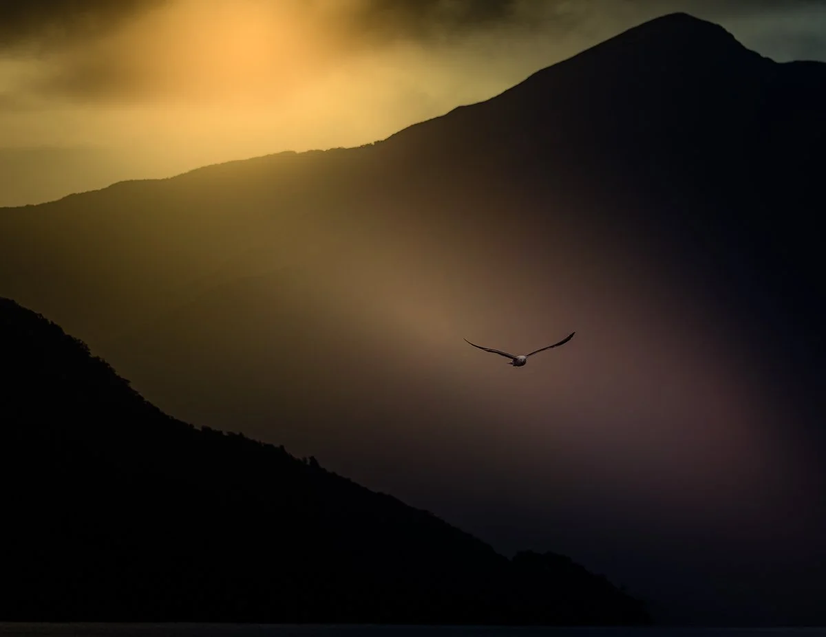 Soaring through the Ridges