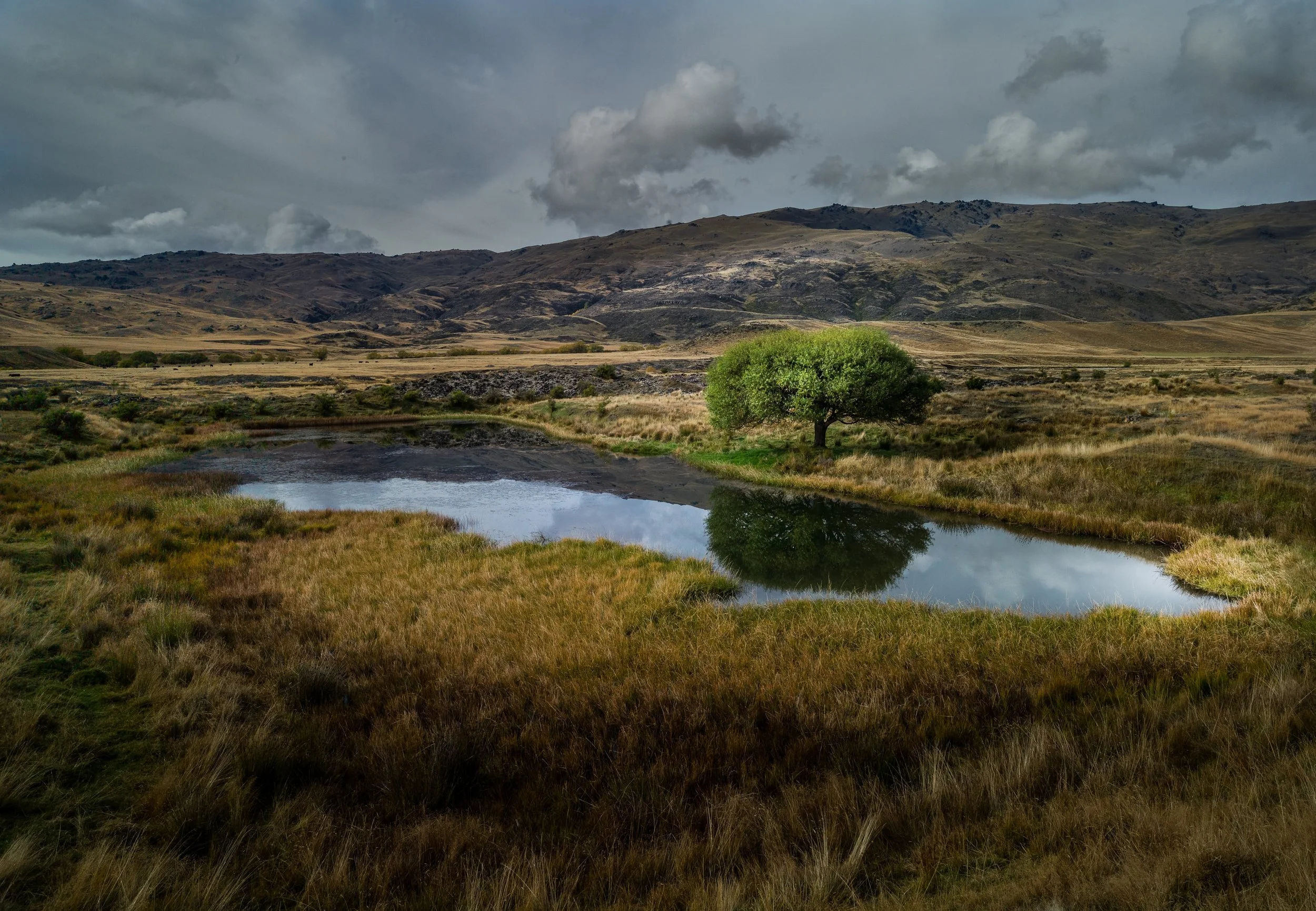 Nevis, Otago, landscape, sky, clouds, tree, water, lake, pond