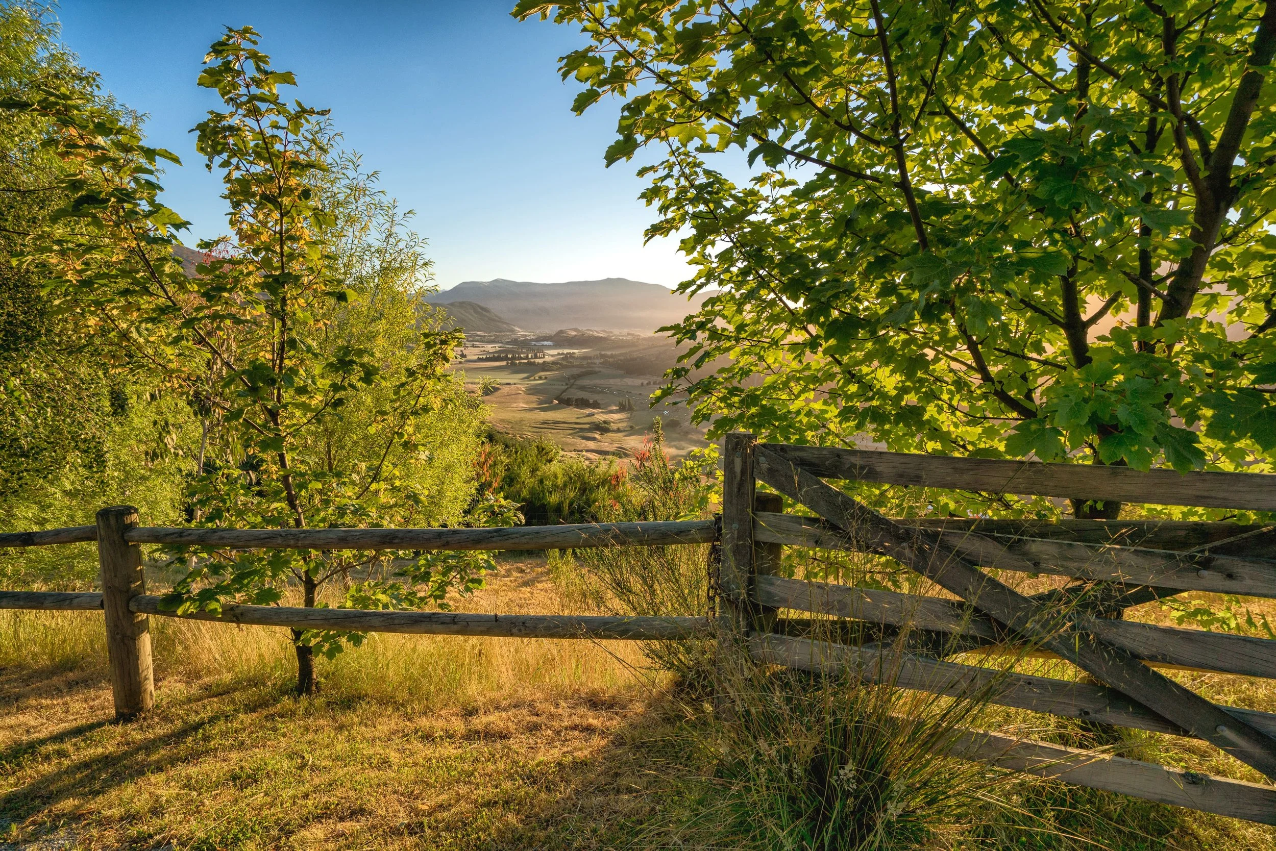 Mountain, landscape, otago, central, gate, green, field, tree, flower