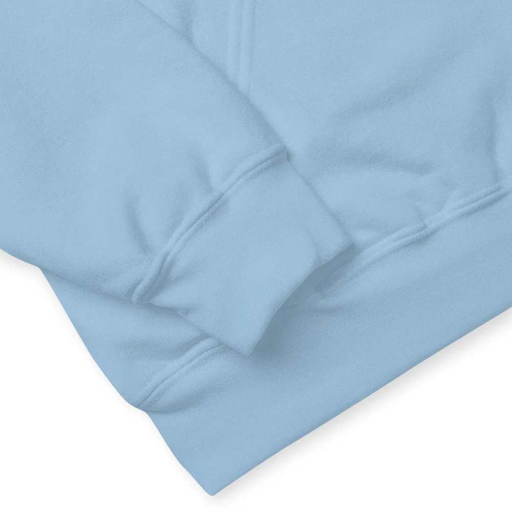 blue sleeve.jpg