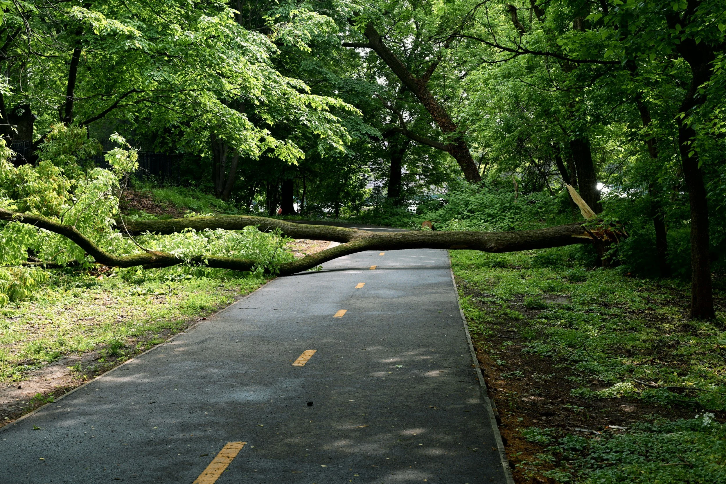What to Do After a Hailstorm: A Homeowner's Checklist