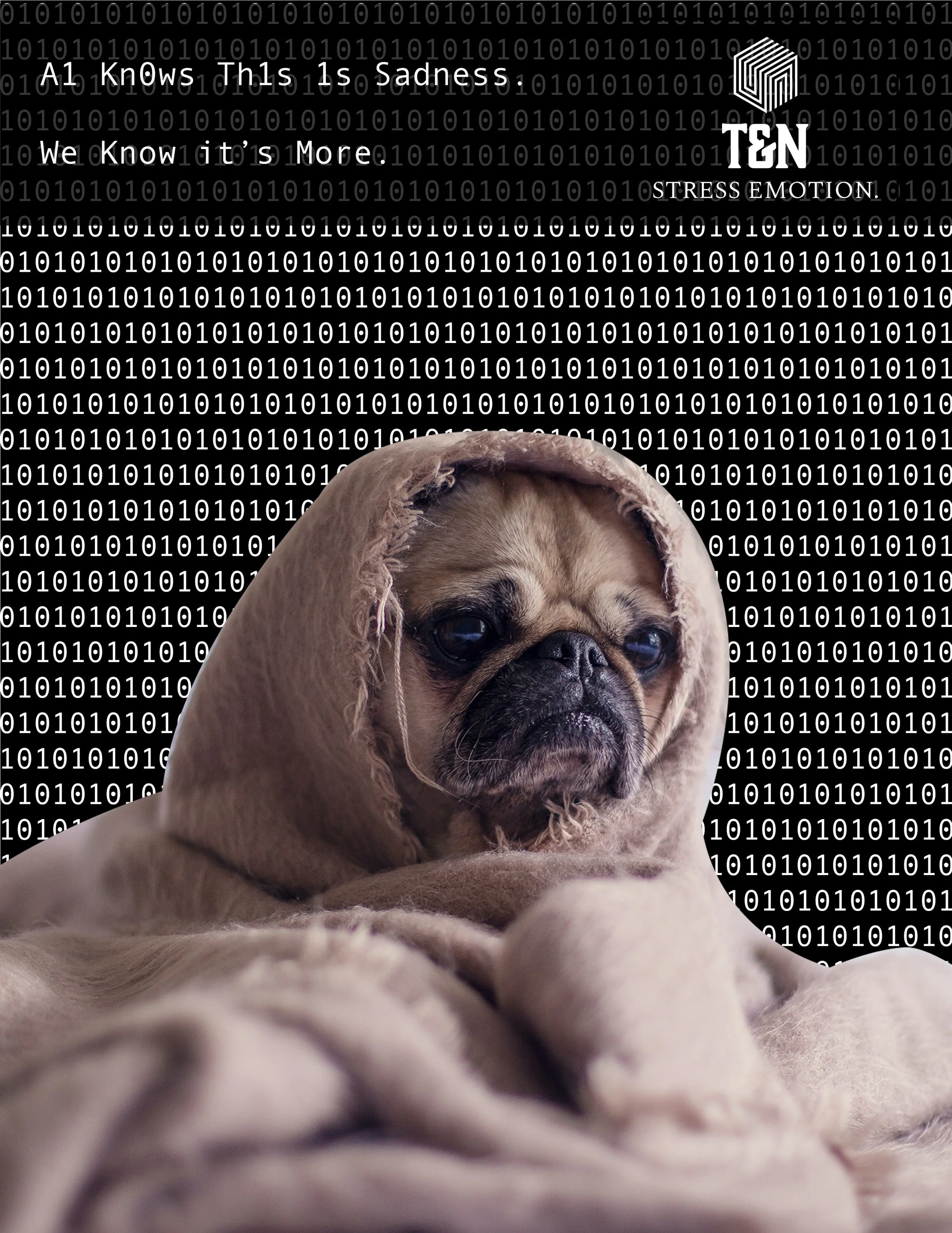 dog.jpg