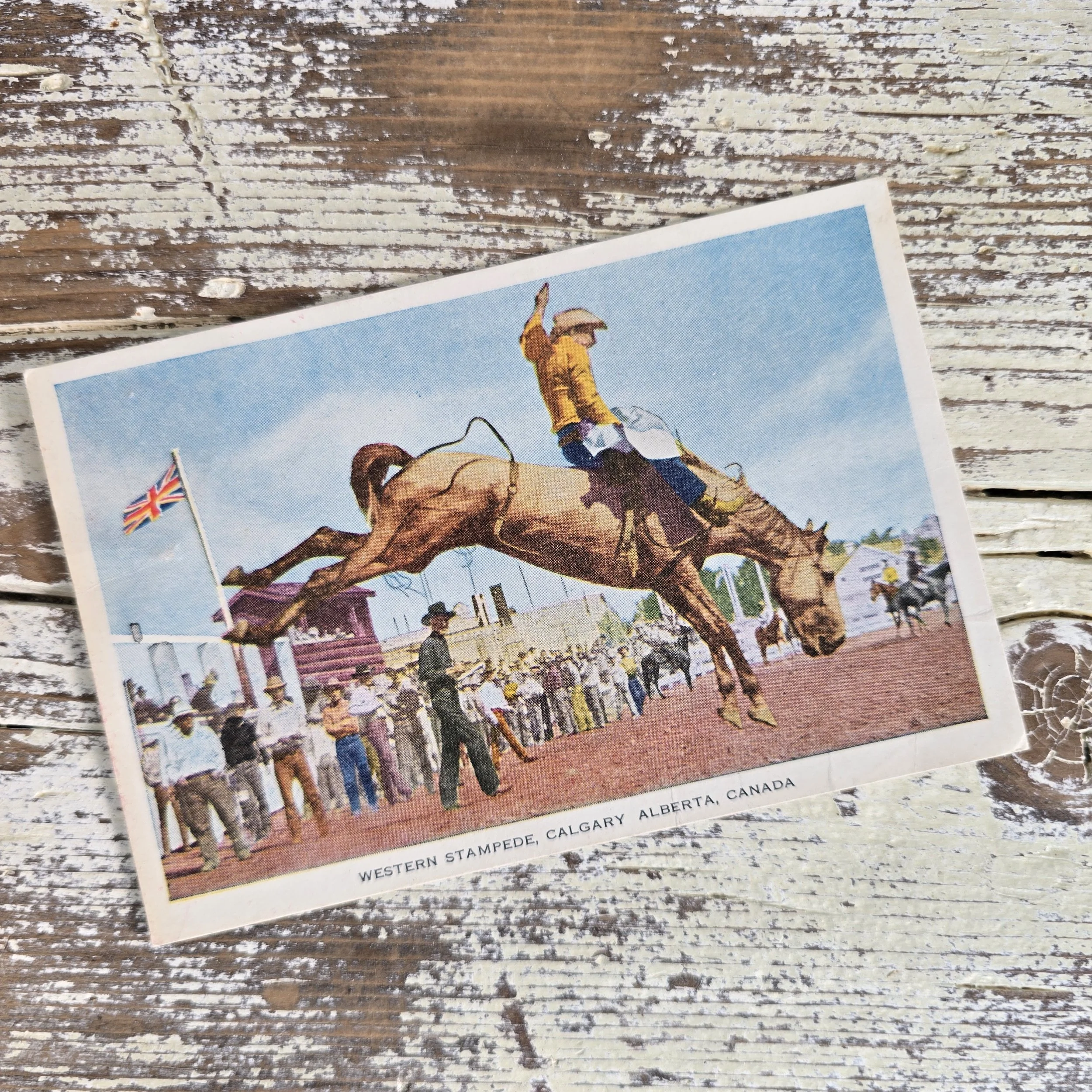 1949 Calgary Stampede advertising postcard.  $18