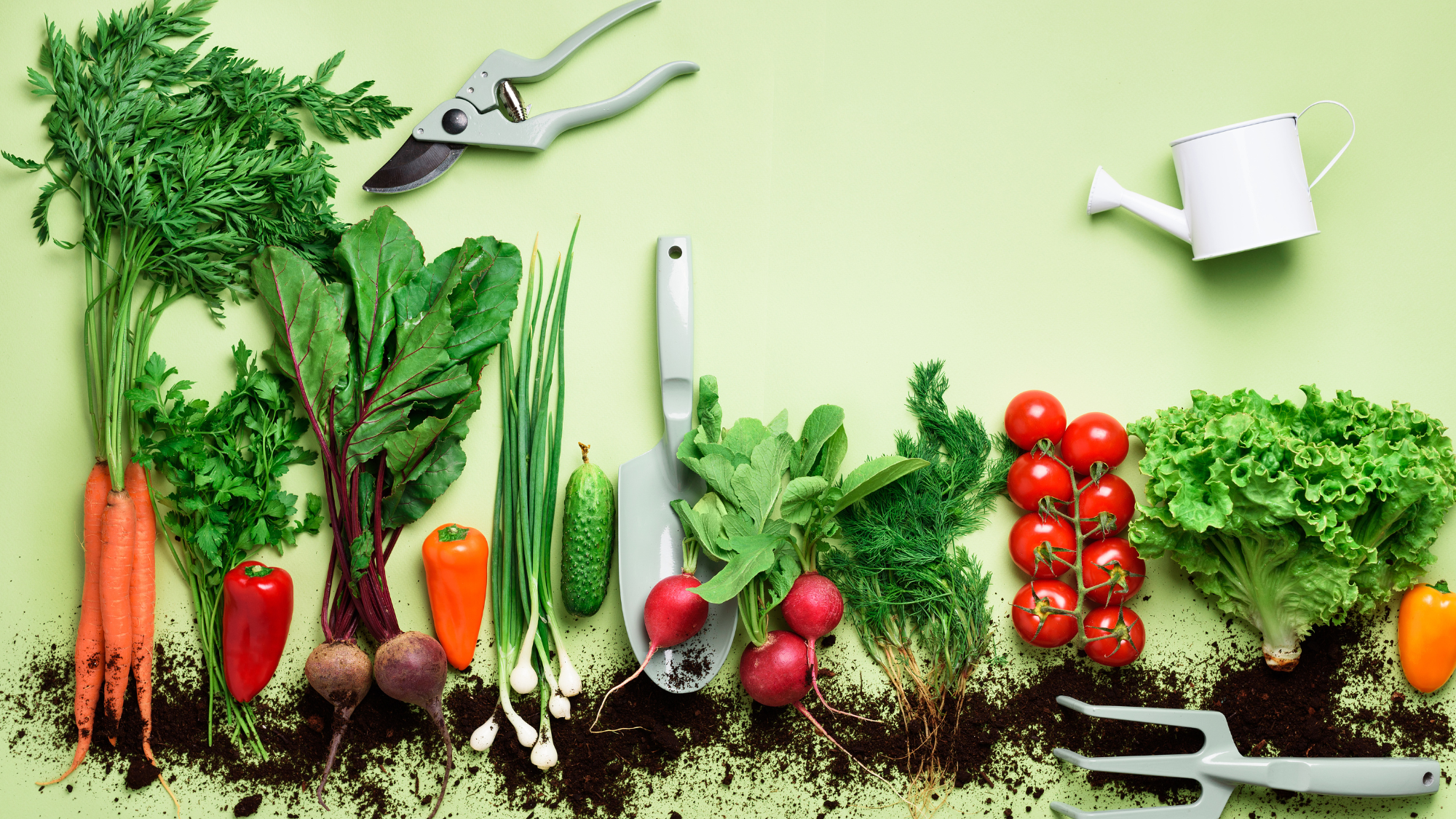 How to Create a Sustainable Garden for Your Family — Homemaed Homestead