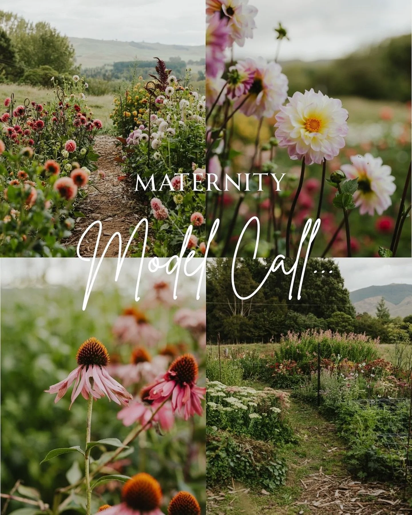 MATERNITY MODEL CALL ✨

I&rsquo;m looking for a pregnant mum between 30&ndash;37 weeks to be part of a beautiful creative vision of mine. 

This session will take place at Wildwood in Taupo &mdash; surrounded by the most stunning blooms!
📅 Date: &bu