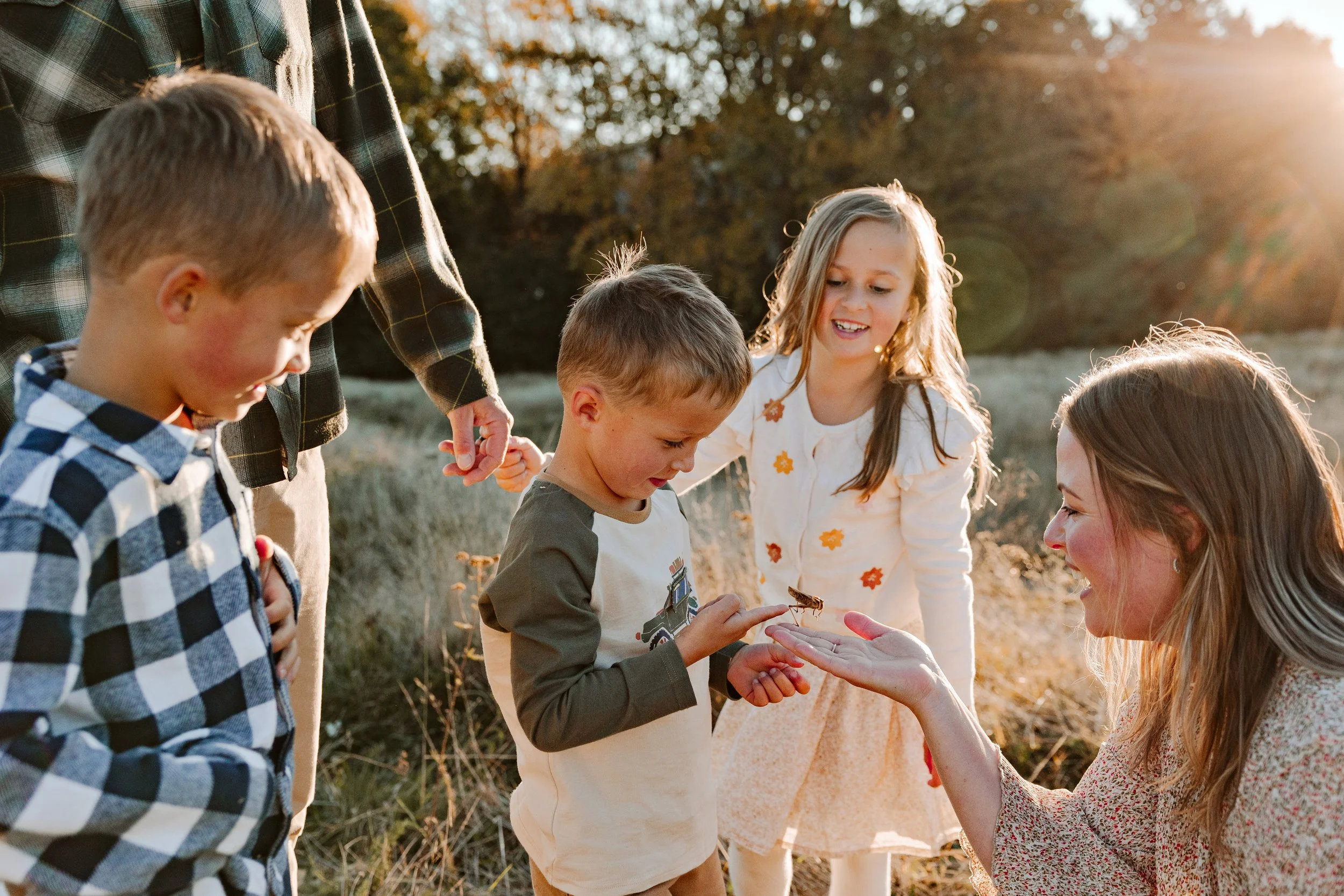 Group of children and a woman outdoors during sunset, with gold and orange tones, watching a weta in a child's hand.
