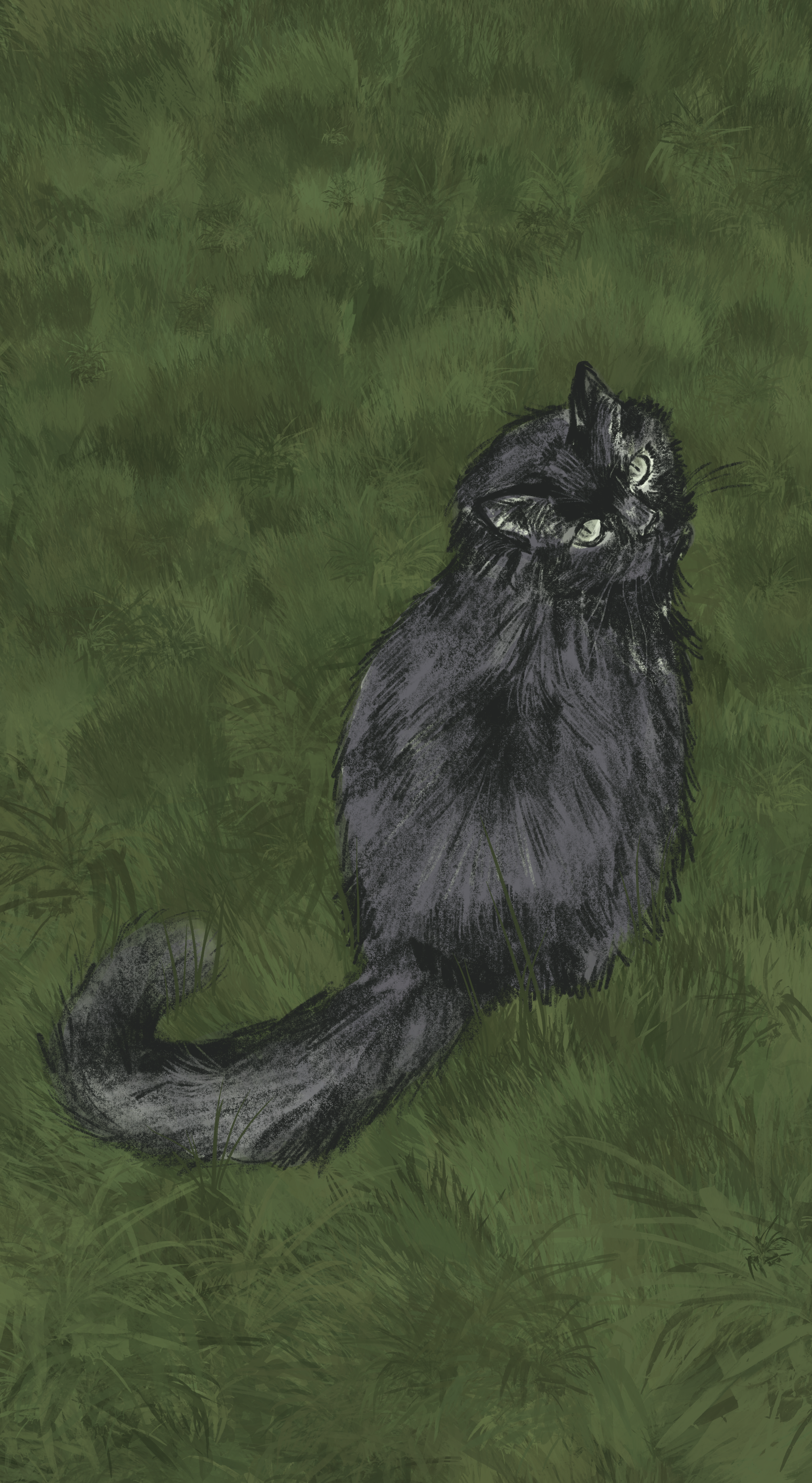 Untitled_Artwork 1.png