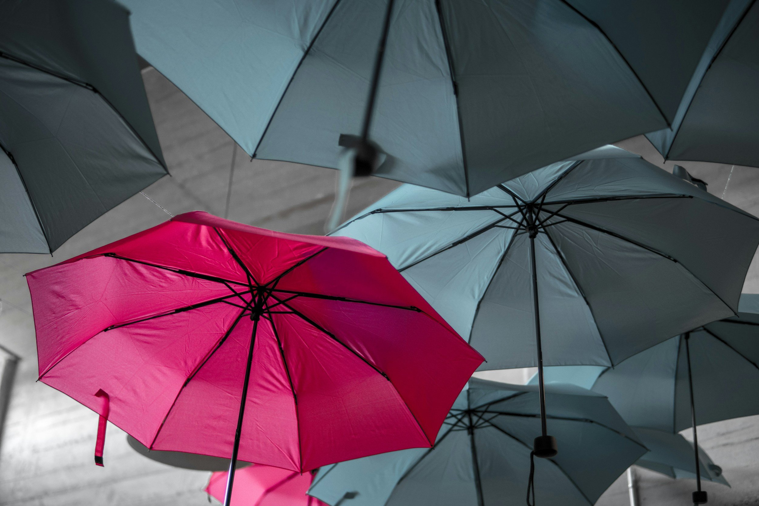 SEO Shortcuts That Backfire: Black Hat Tactics to Avoid (And What We Do Instead)