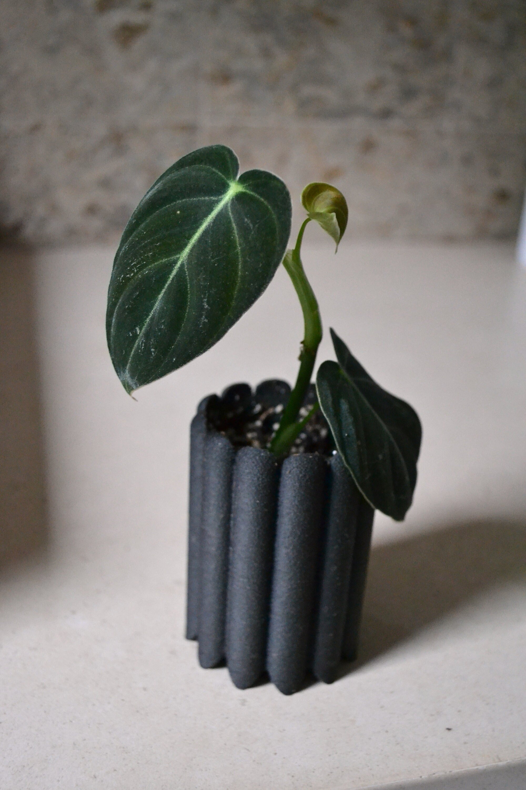 https://i.etsystatic.com/23301702/r/il/b5efdb/2925787495/il_fullxfull.2925787495_qi8k.jpg