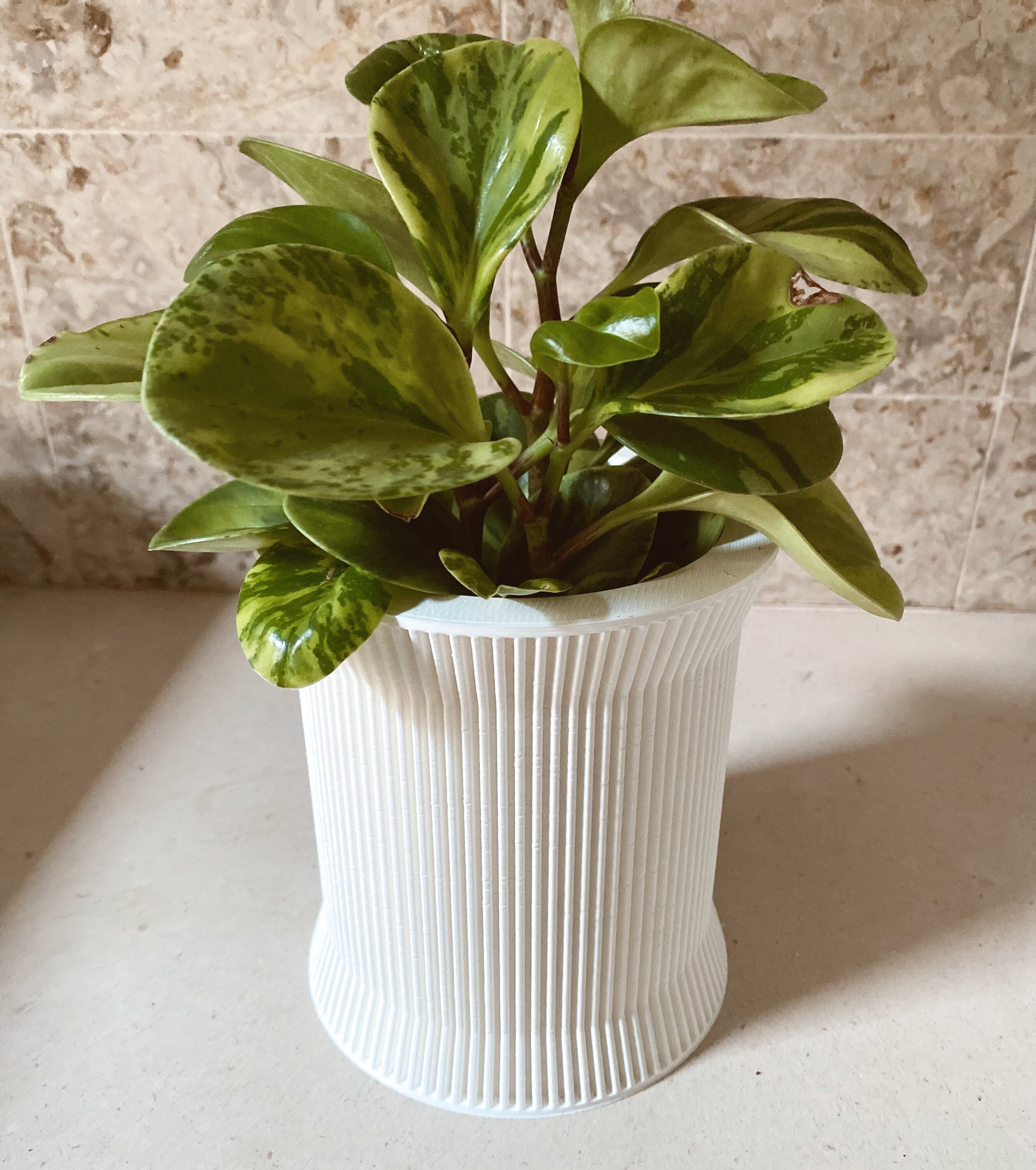 https://i.etsystatic.com/23301702/r/il/ce2739/3441052174/il_fullxfull.3441052174_2jiw.jpg