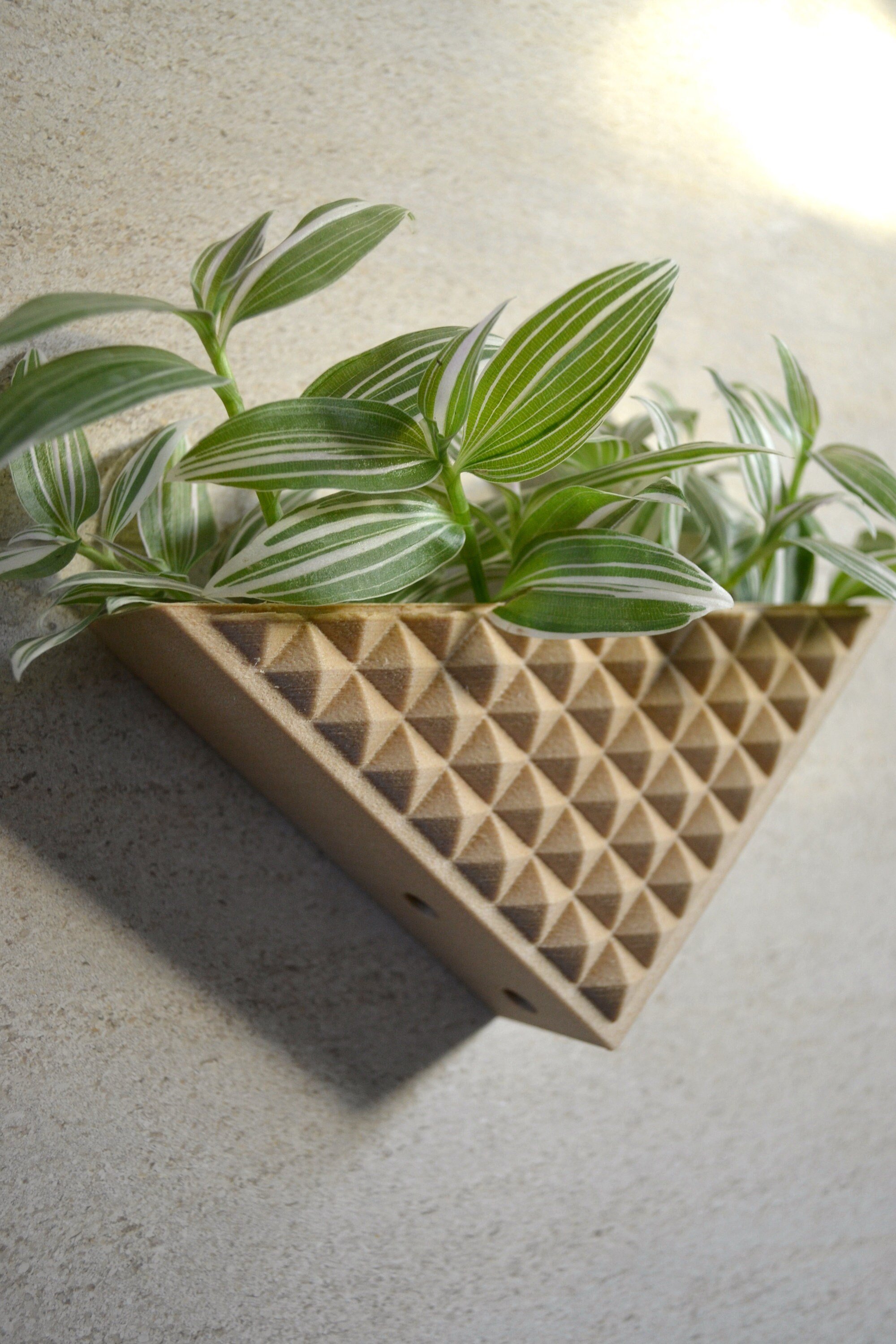 https://i.etsystatic.com/23301702/r/il/c3d035/2975709339/il_fullxfull.2975709339_7qj8.jpg