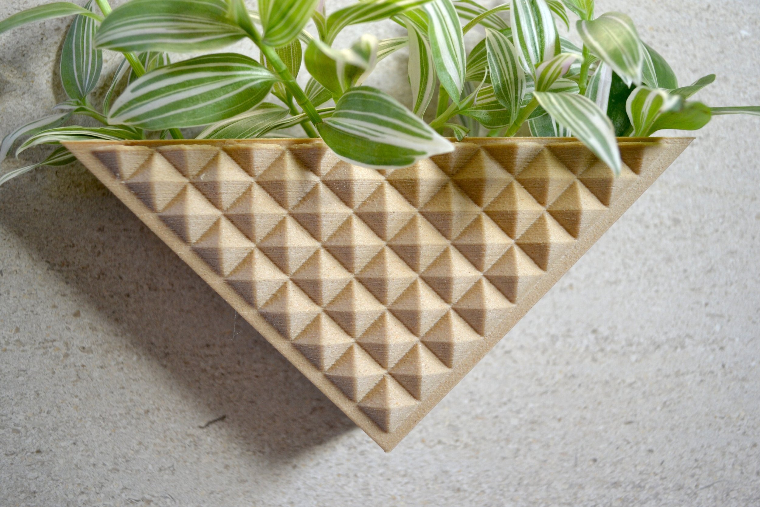 https://i.etsystatic.com/23301702/r/il/13e8a5/2928008884/il_fullxfull.2928008884_o5o8.jpg