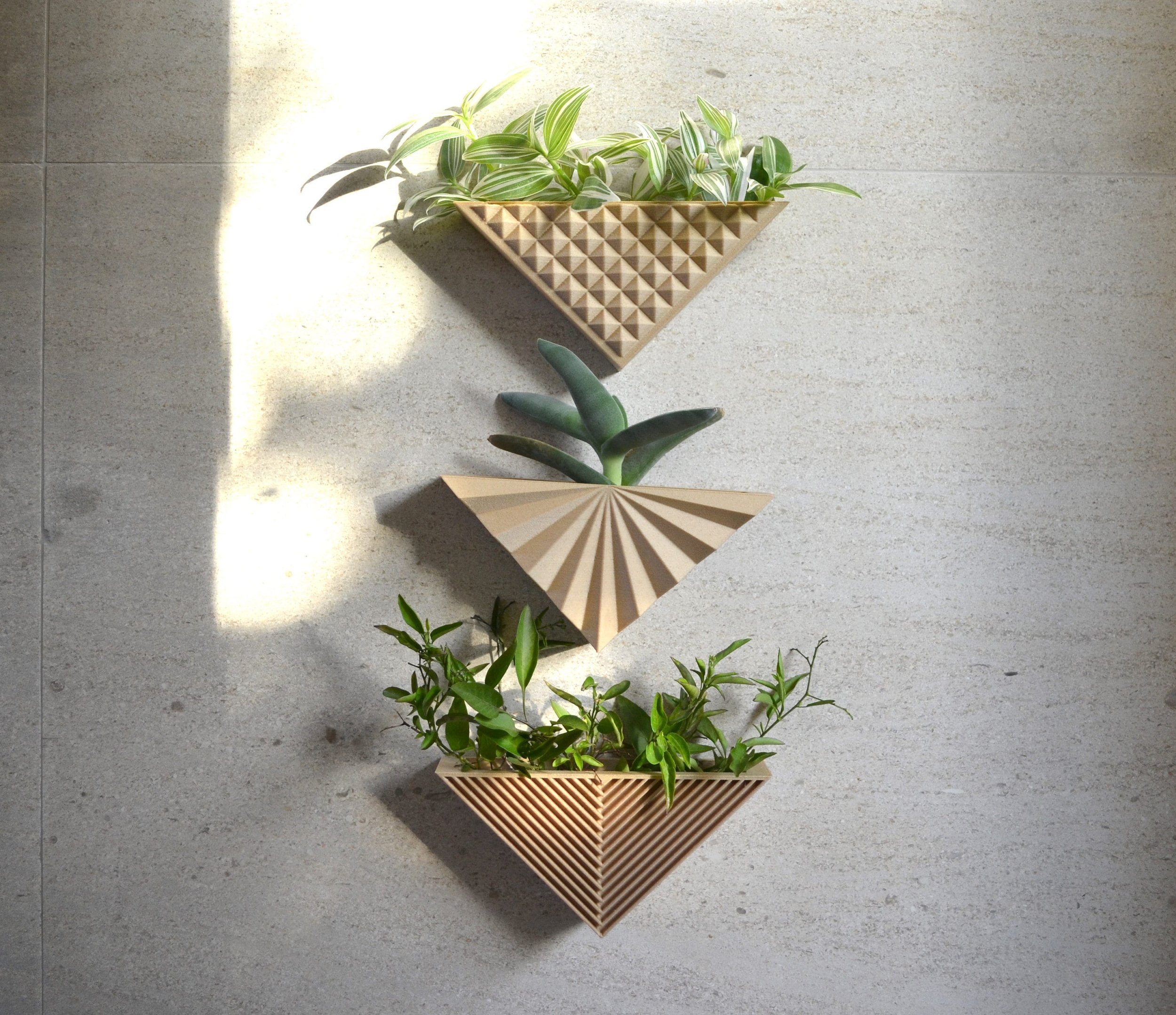 https://i.etsystatic.com/23301702/r/il/f4e764/2975763915/il_fullxfull.2975763915_6eb9.jpg